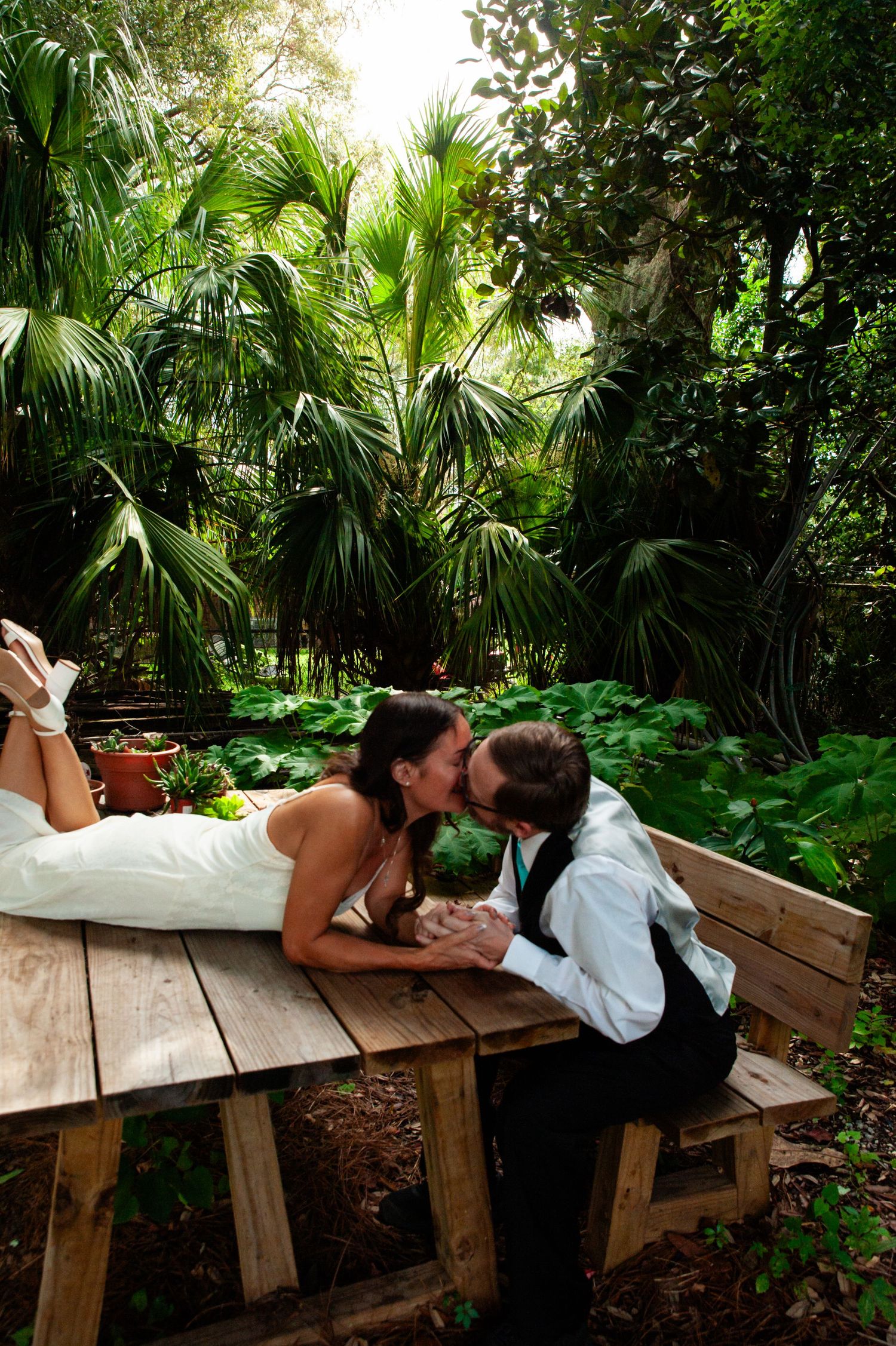 Couple share a romantic moment on a wooden bench surrounded by lush tropical palm trees and greenery in a garden setting.