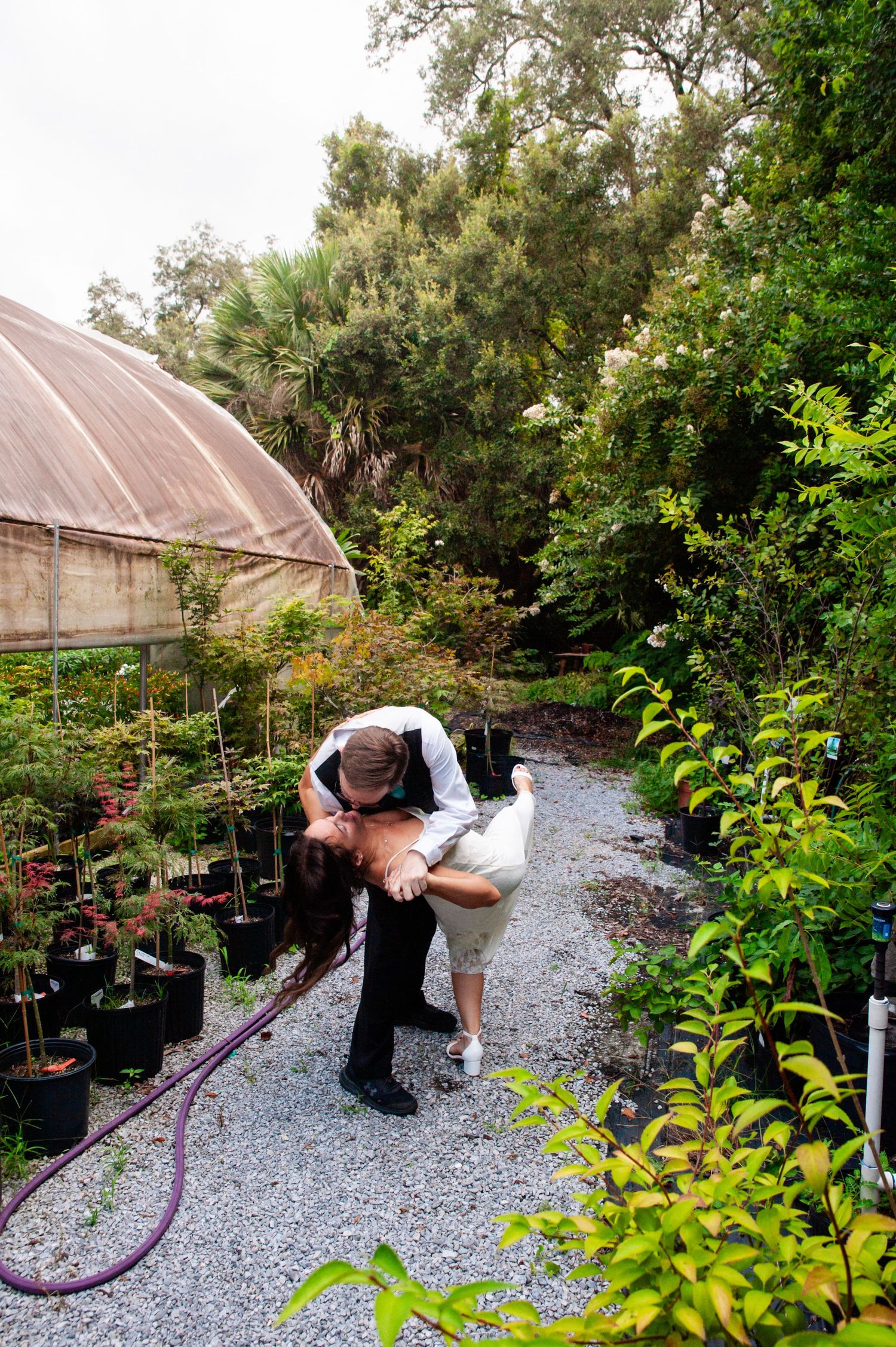 A romantic moment shared in a garden greenhouse with plants and potted saplings lining a gravel path.