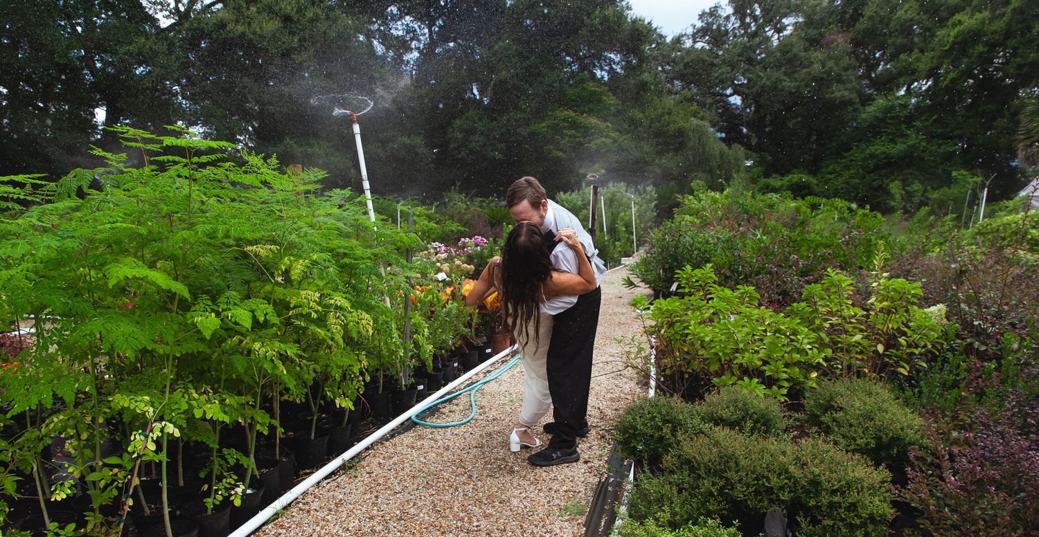 Winding mulch path leads through a lush garden filled with native plants and greenery under a canopy of trees.