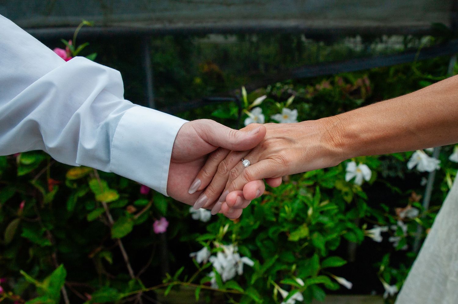 Two people shaking hands outdoors in front of green plants and flowers blooming in a garden.
