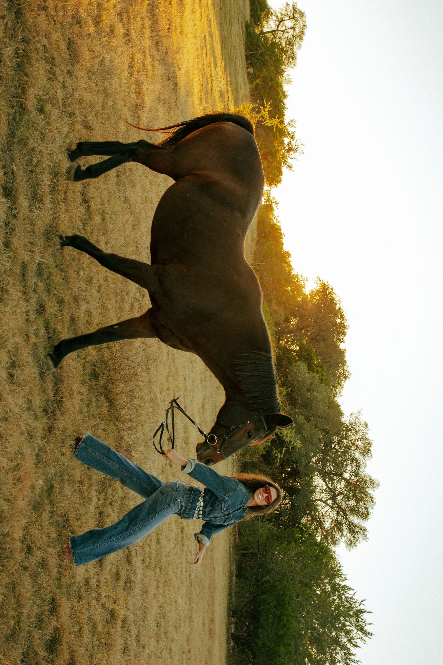 Artistic overhead angle of horse and rider in golden evening light.