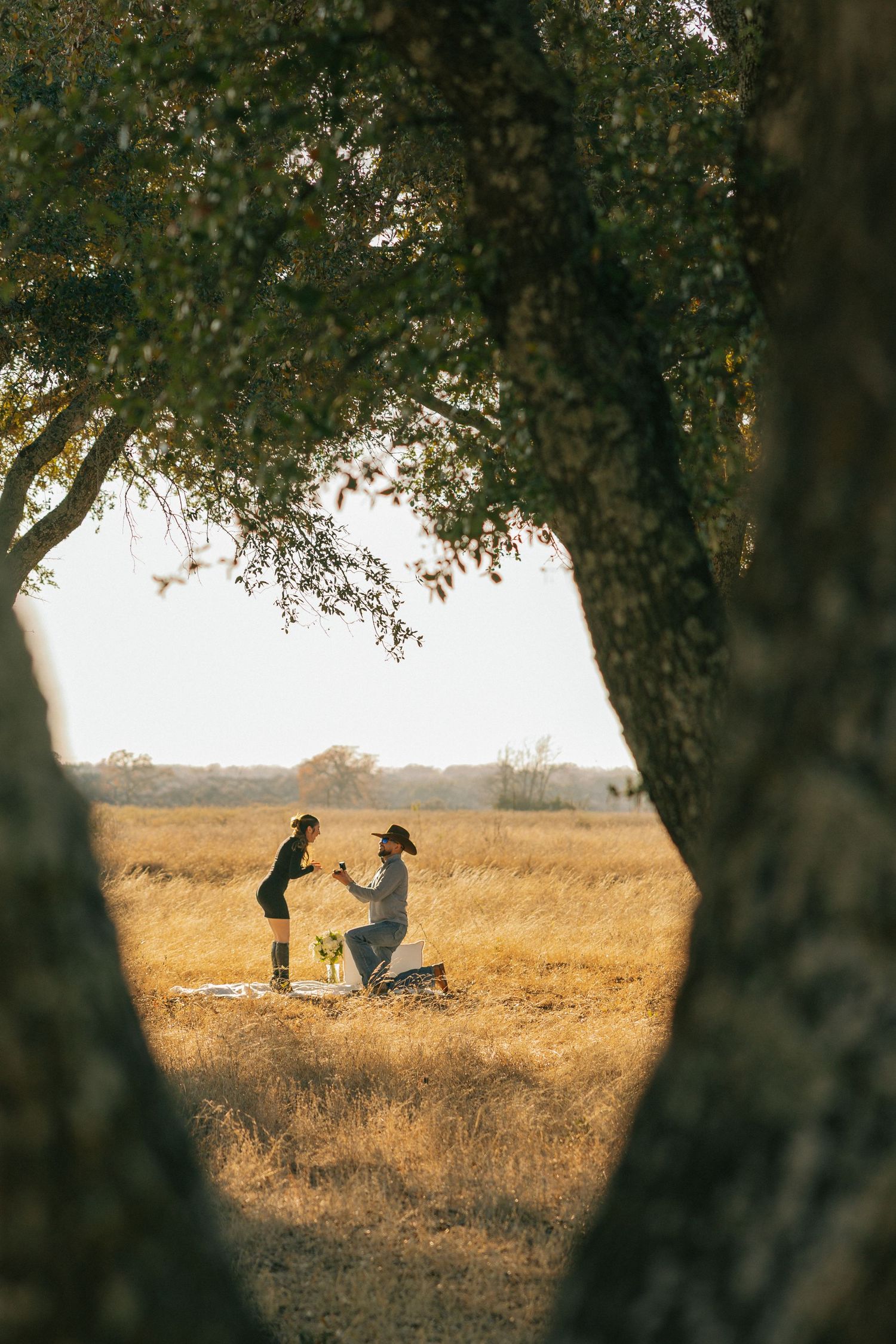 A silhouetted proposal moment captured through tree branches in a golden field.