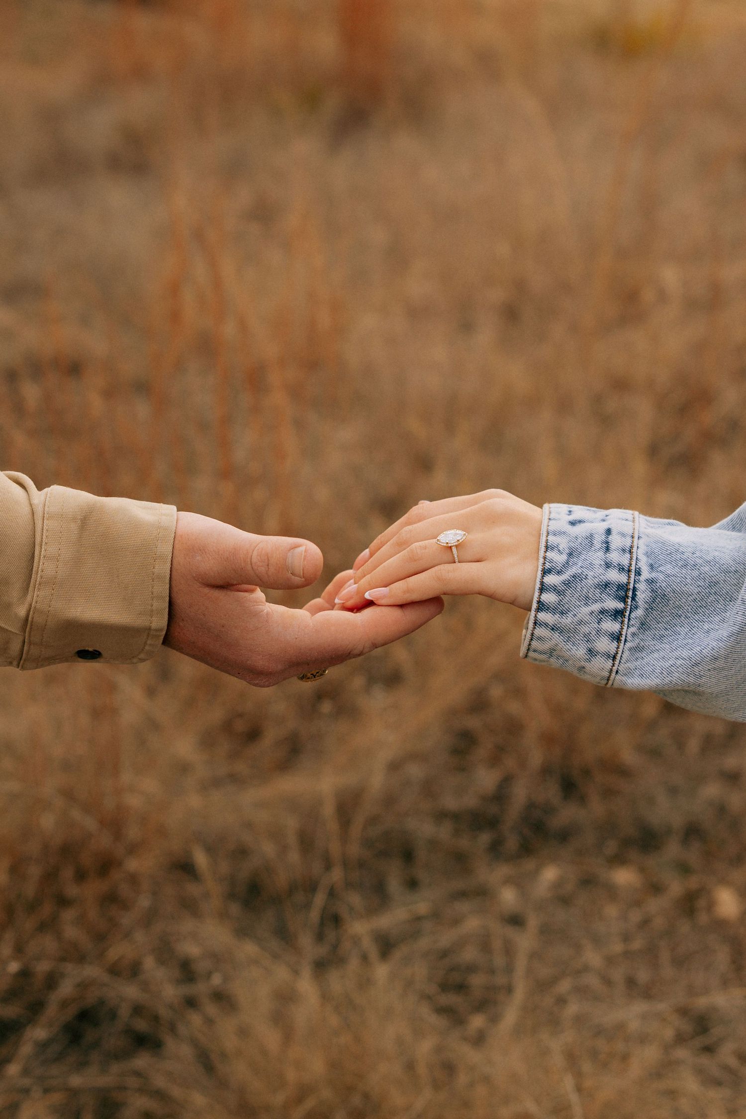 Close-up of hands with engagement ring reaching towards each other against autumn field background.