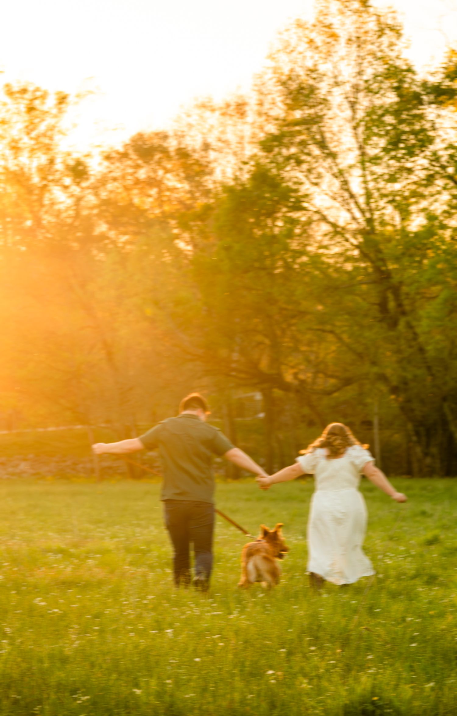 Couple running hand-in-hand with their small dog through a golden sunset-lit green meadow.