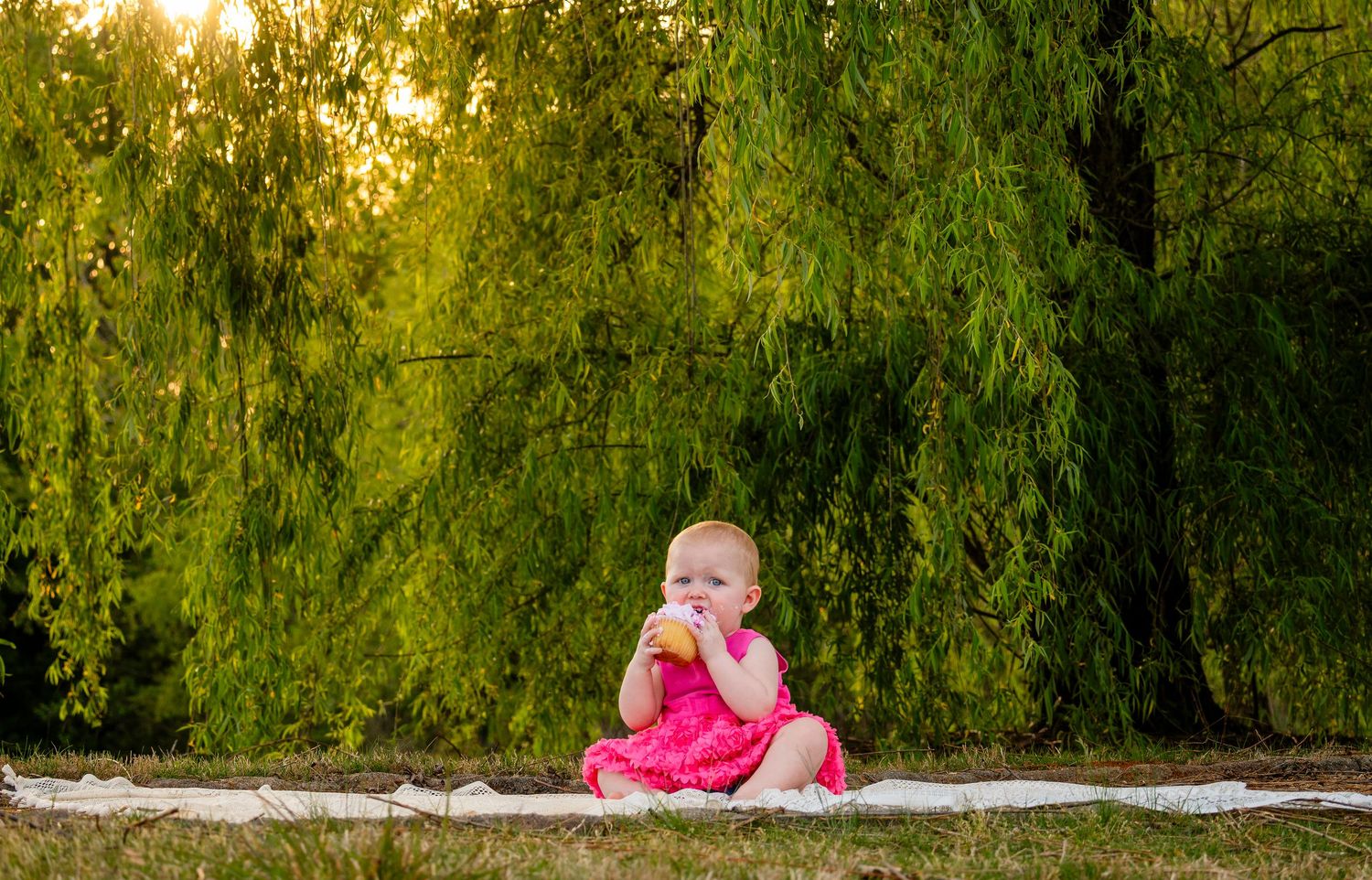 Adorable baby in pink dress sits on blanket eating a snack under a weeping willow tree.