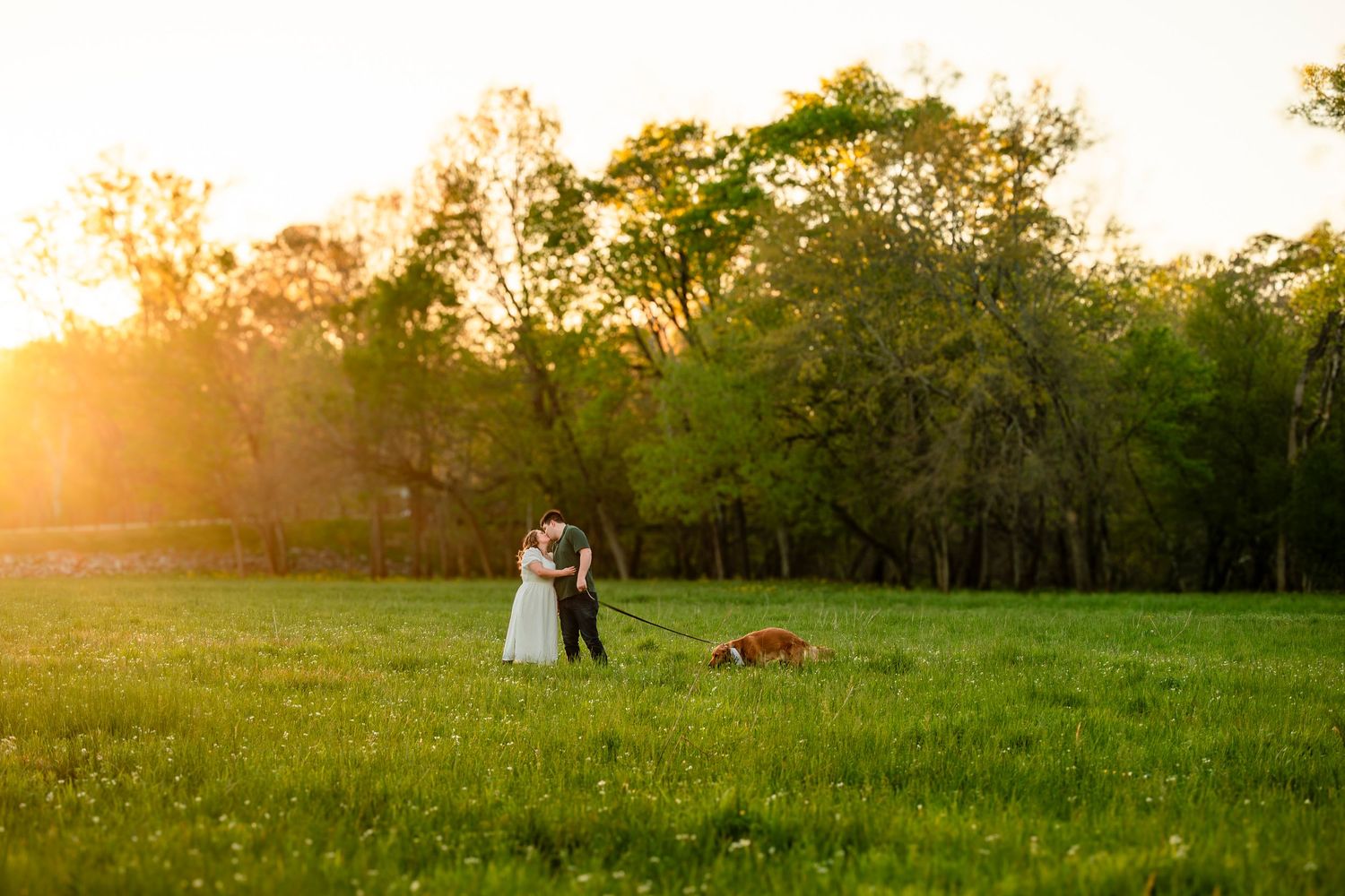 Couple sharing a kiss in a glowing sunset field while their dog explores the green grass nearby.
