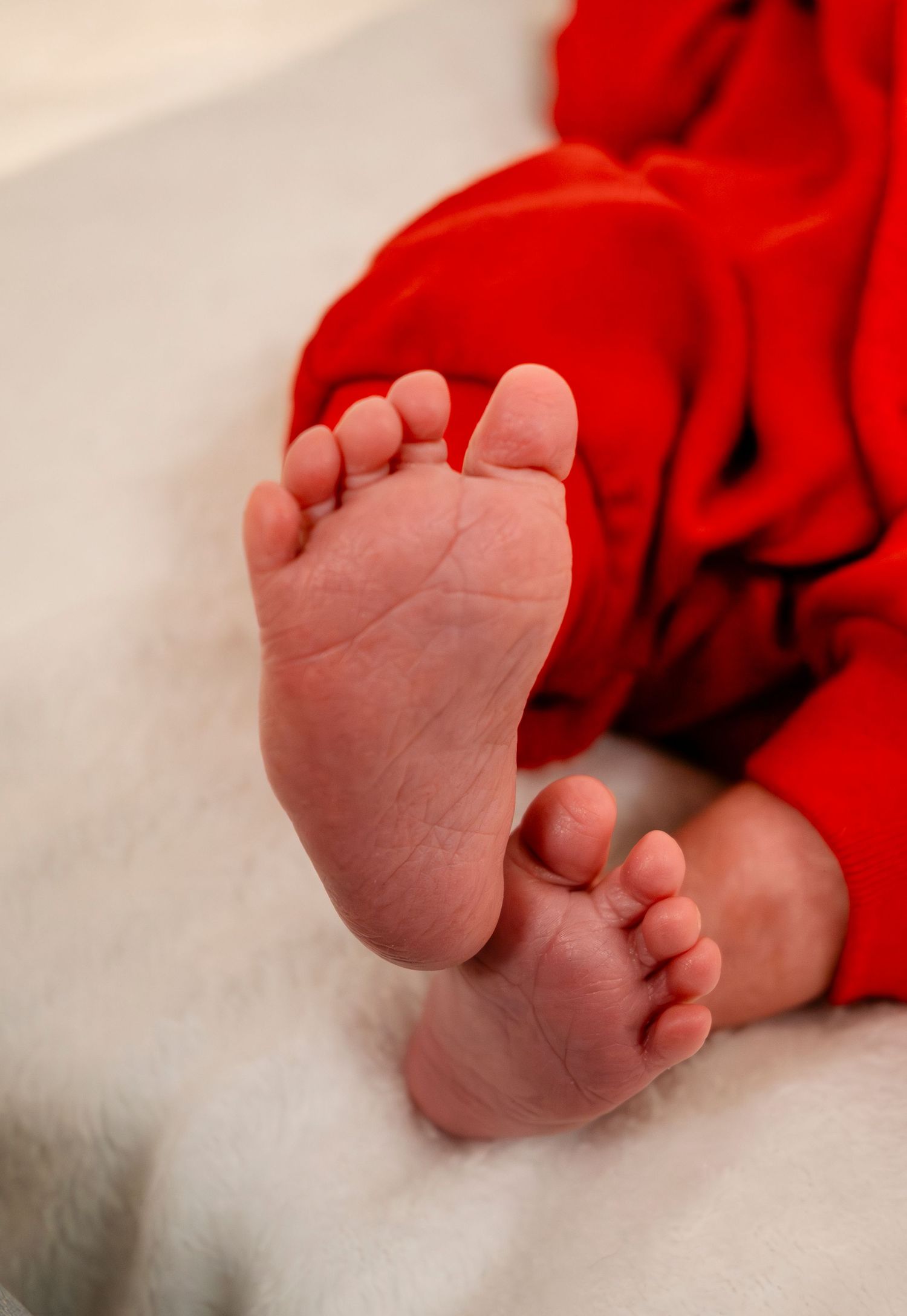 Close-up of newborn baby feet in a red outfit resting on a white fluffy blanket.
