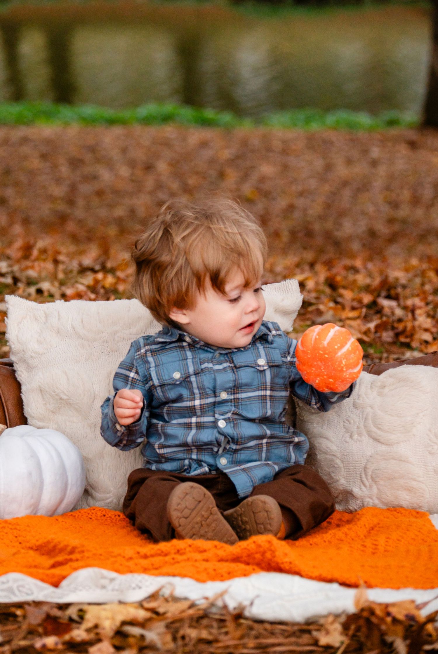 Cute toddler in plaid shirt holding small orange pumpkin on fall blanket.