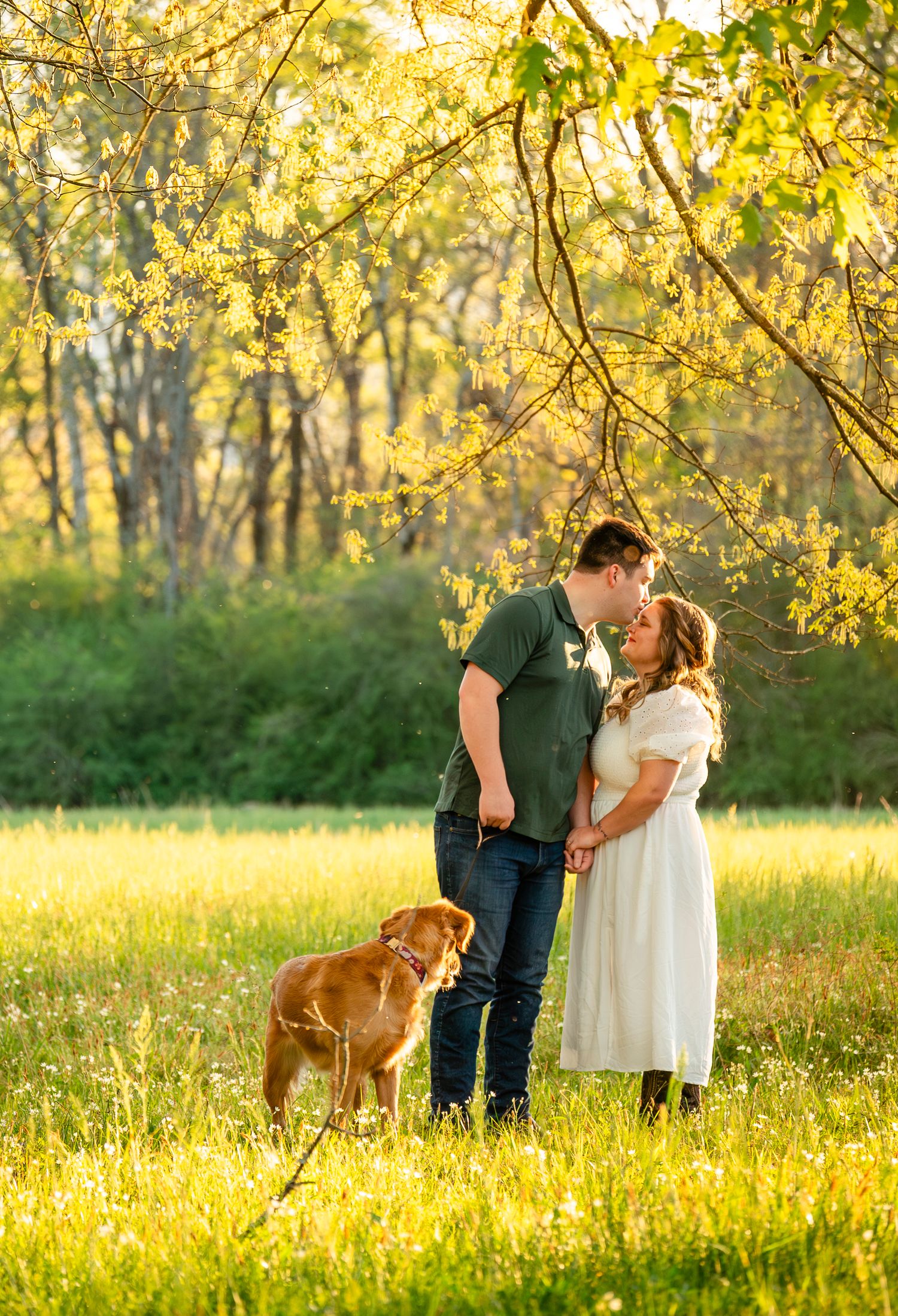 Couple sharing a kiss in a sunlit meadow with golden trees and a brown dog on a leash beside them.