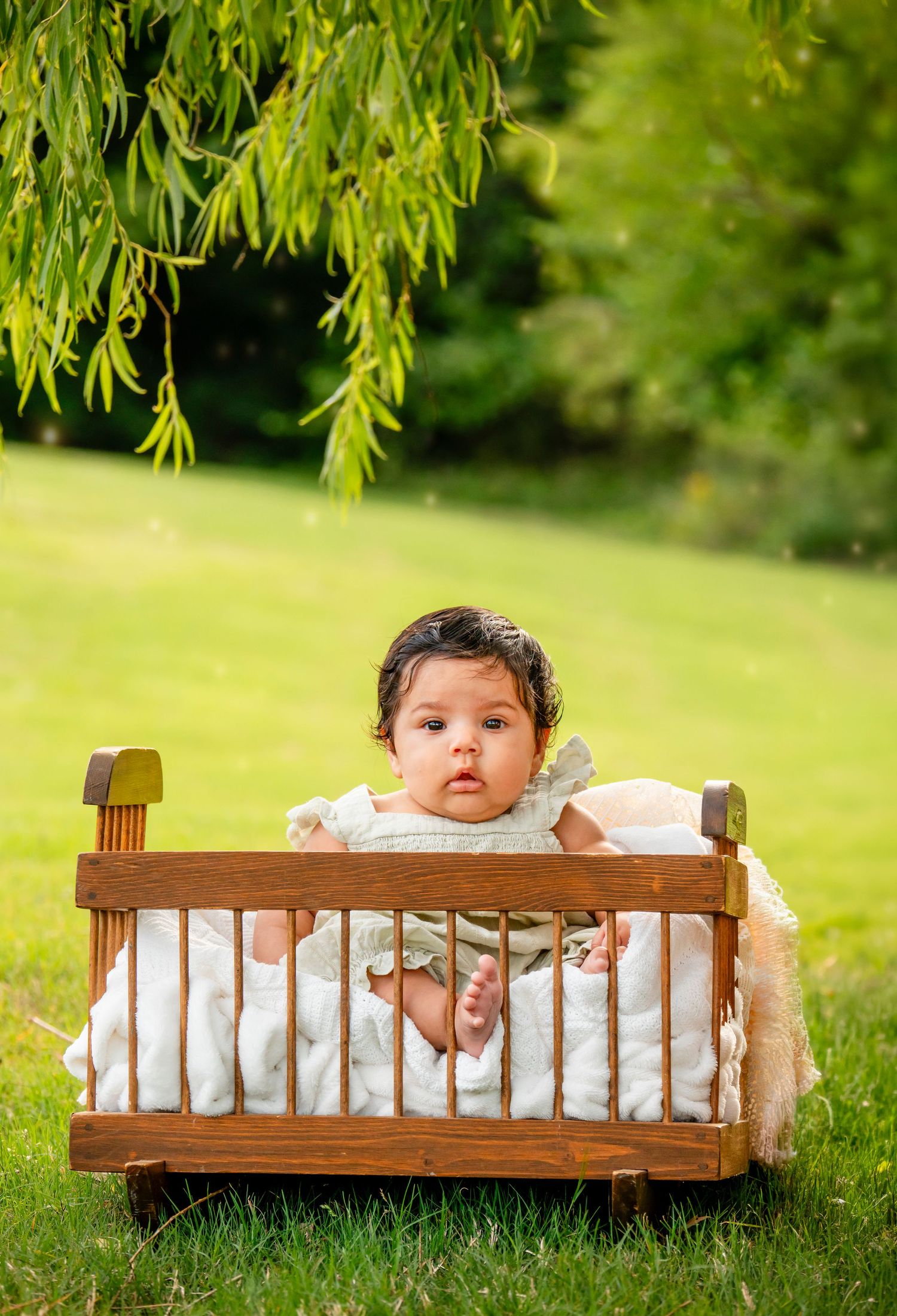 A cute baby sits in a miniature wooden crib outdoors on green grass beneath a weeping willow tree.