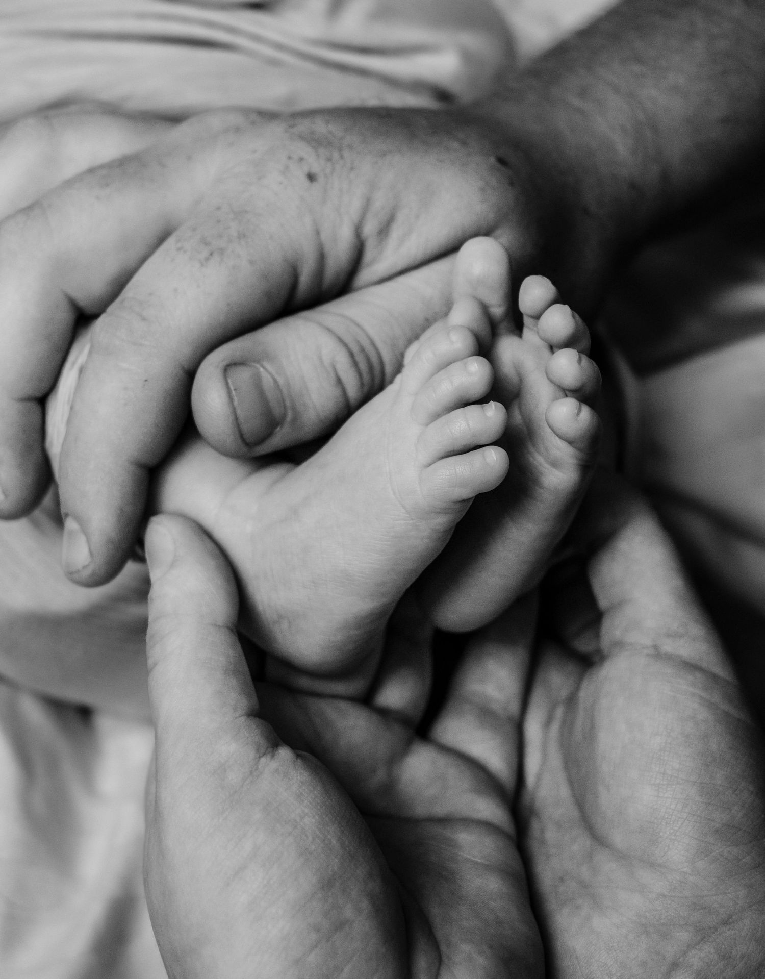 Black and white photo of adult hands gently cradling tiny newborn baby feet, symbolizing love and new parenthood.