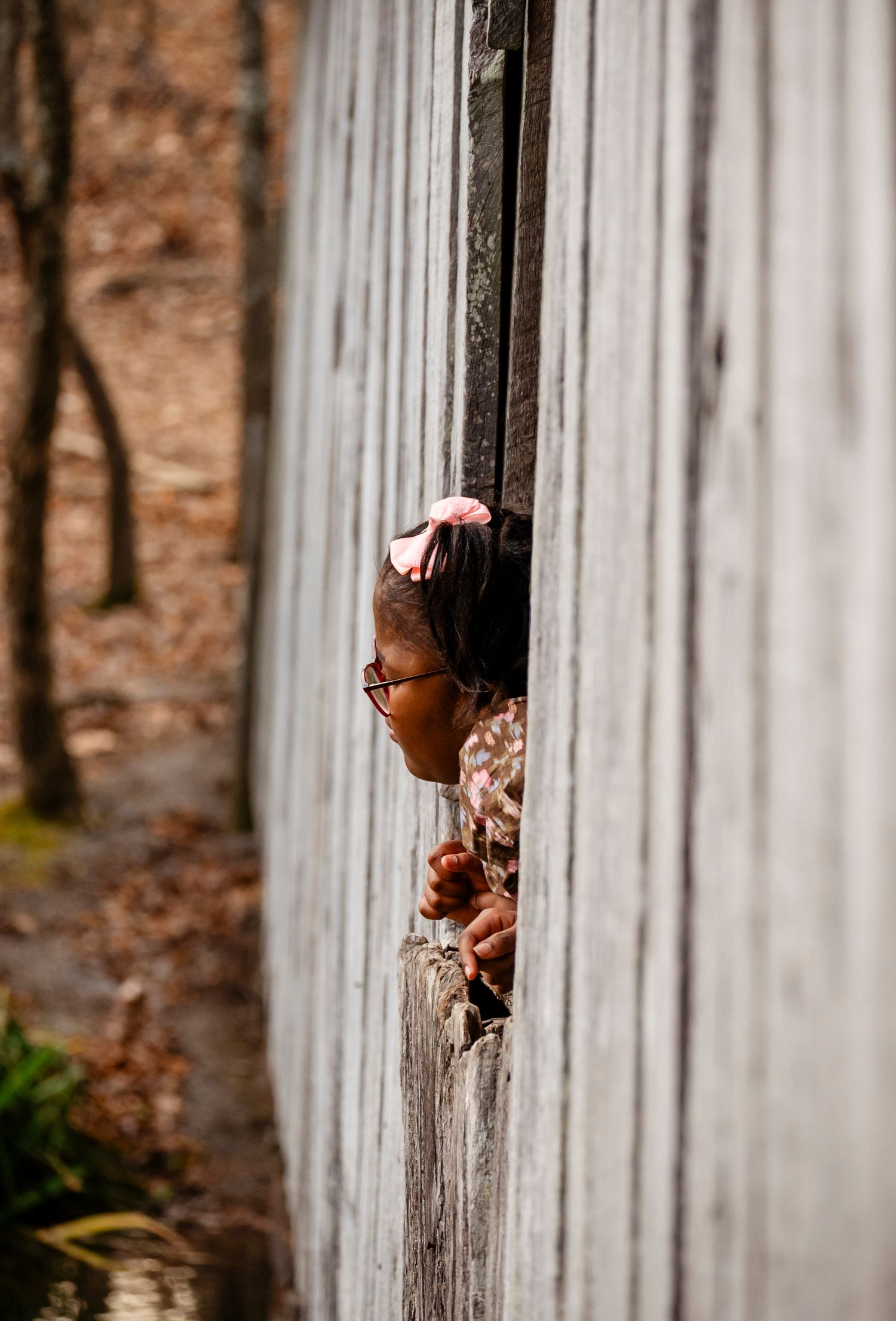 A young girl with glasses and a pink bow peeks curiously through a gap in a weathered wooden fence.