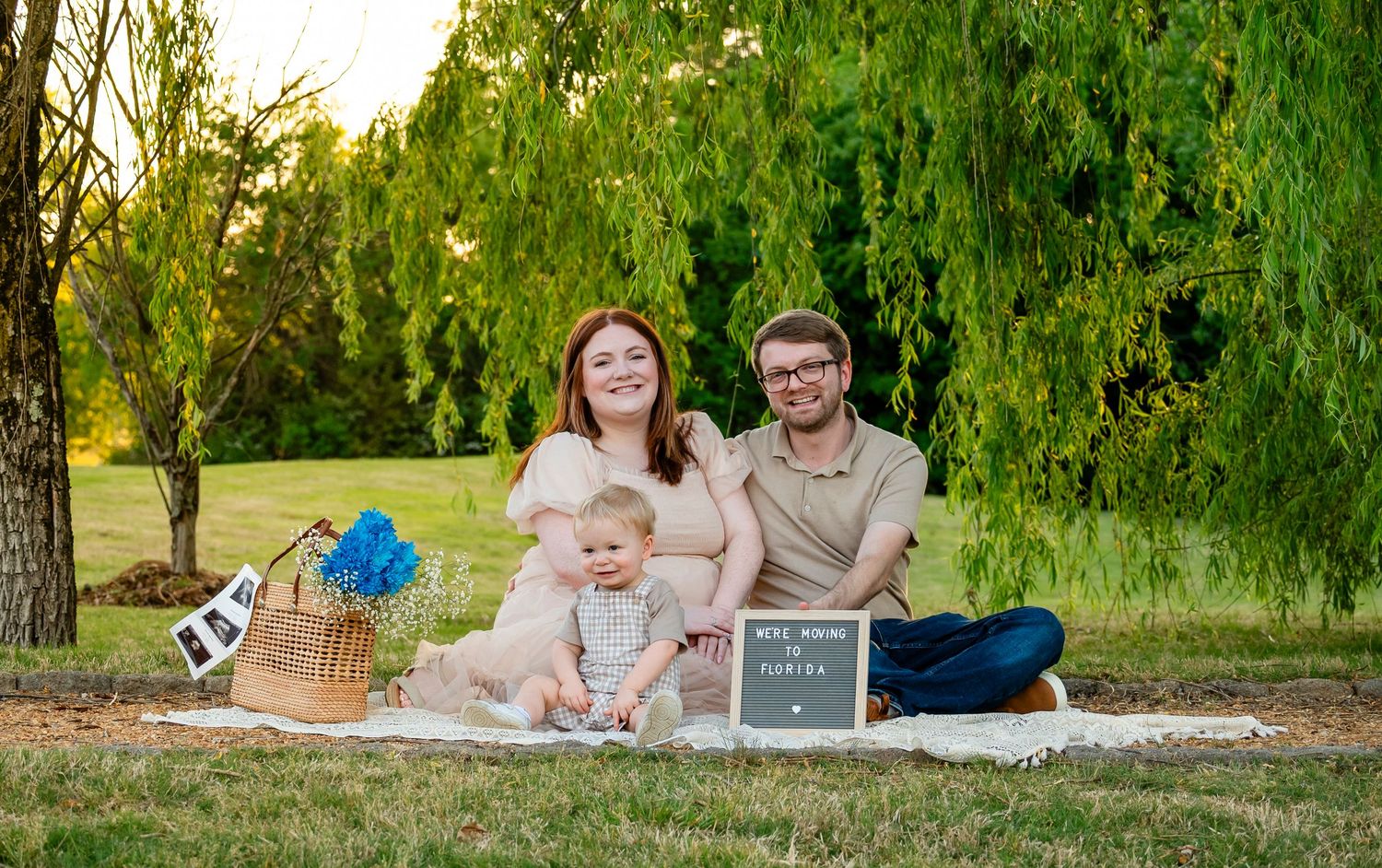 Expecting family with toddler on blanket near weeping willow holding pregnancy announcement sign.