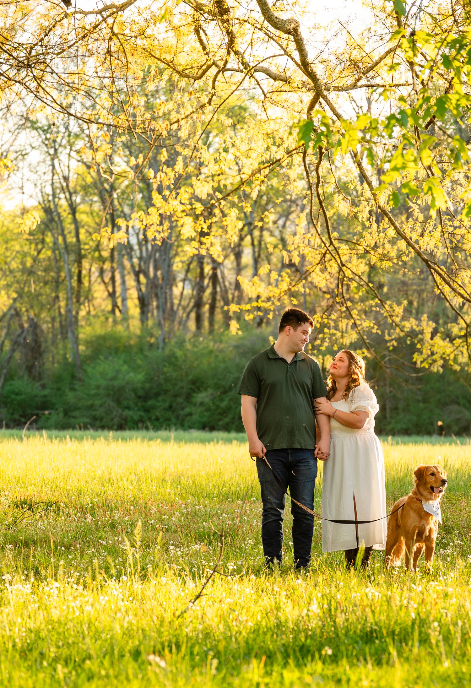 Couple with golden dog standing in sunlit meadow under yellow flowering tree branches in spring.