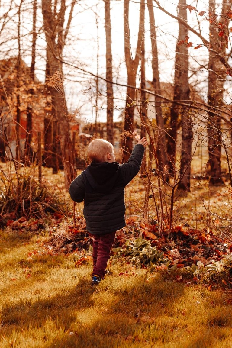 Un tout-petit vêtu d'une veste noire tend la main pour toucher les branches dans un décor forestier automnal coloré à Saint Lô.