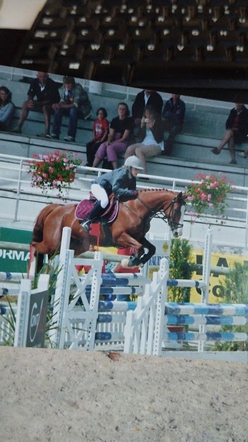 Une jument alezane participe à une compétition de saut d'obstacles dans un manège couvert, sous le regard des spectateurs.