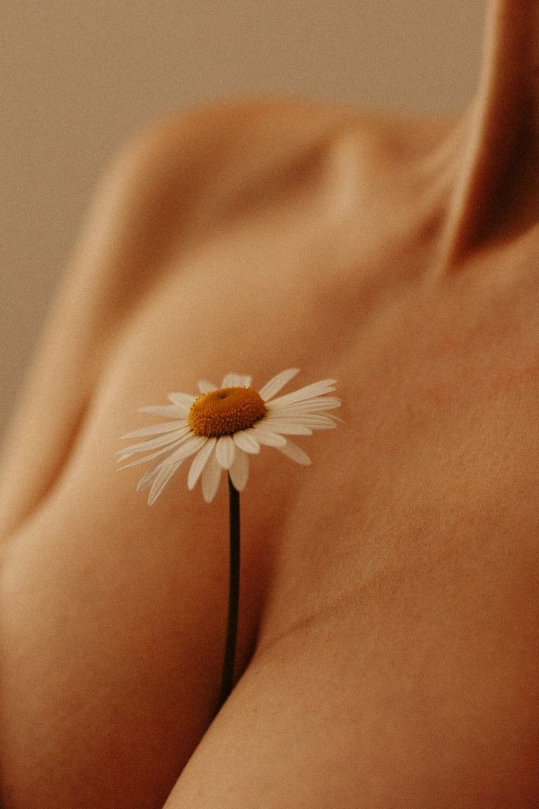 Une délicate marguerite blanche posée contre la clavicule et la poitrine nues d'une femme.