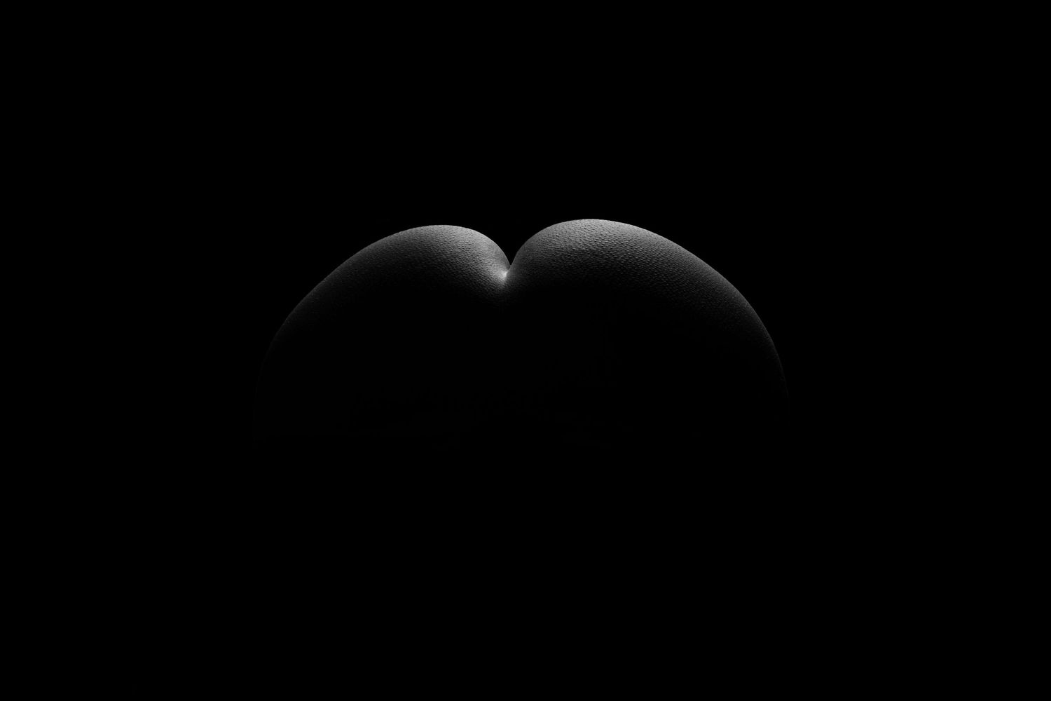 Close-up silhouette of two smooth rounded shapes against a black background in dramatic low-key lighting.