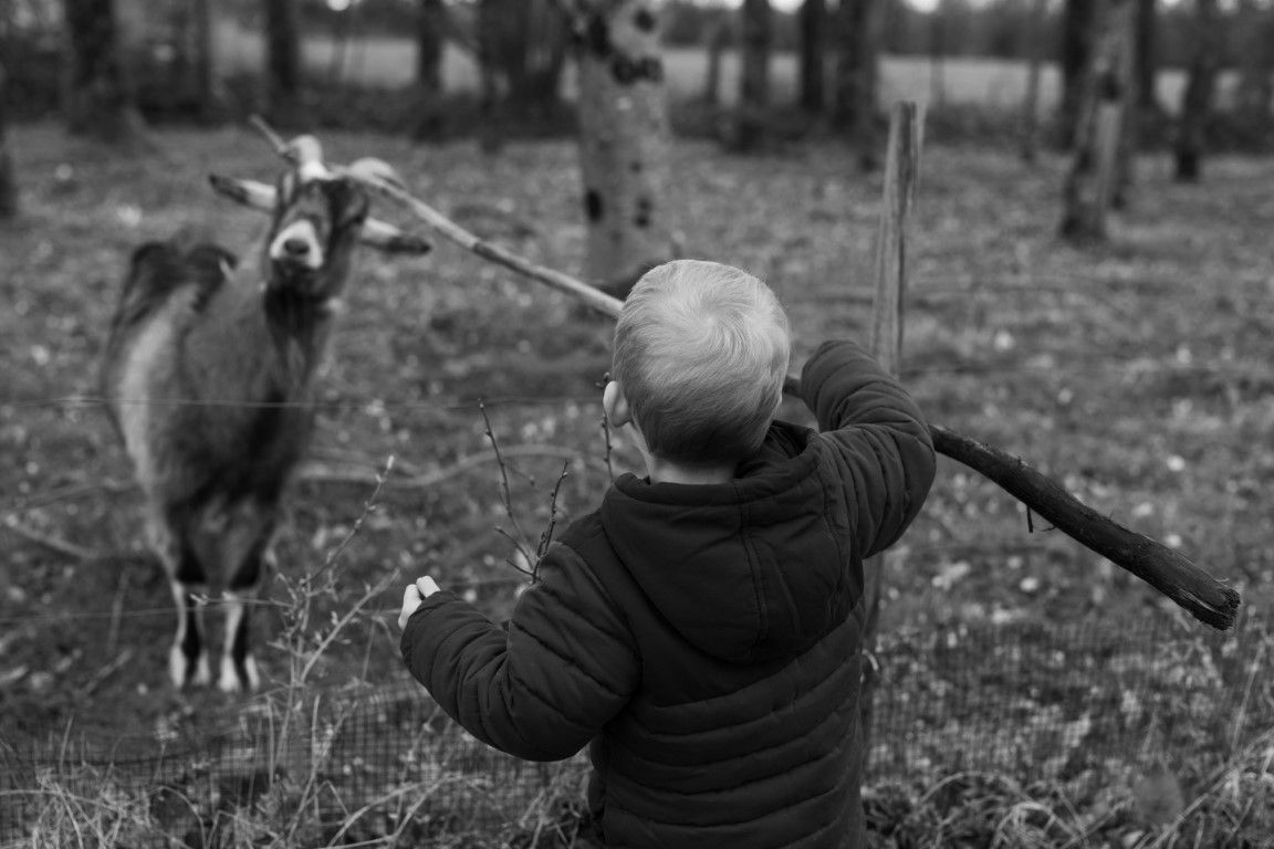 Photo en noir et blanc d'un jeune enfant tenant un bâton face à une chèvre dans un décor boisé lors d'une séance famille à Saint Lô.