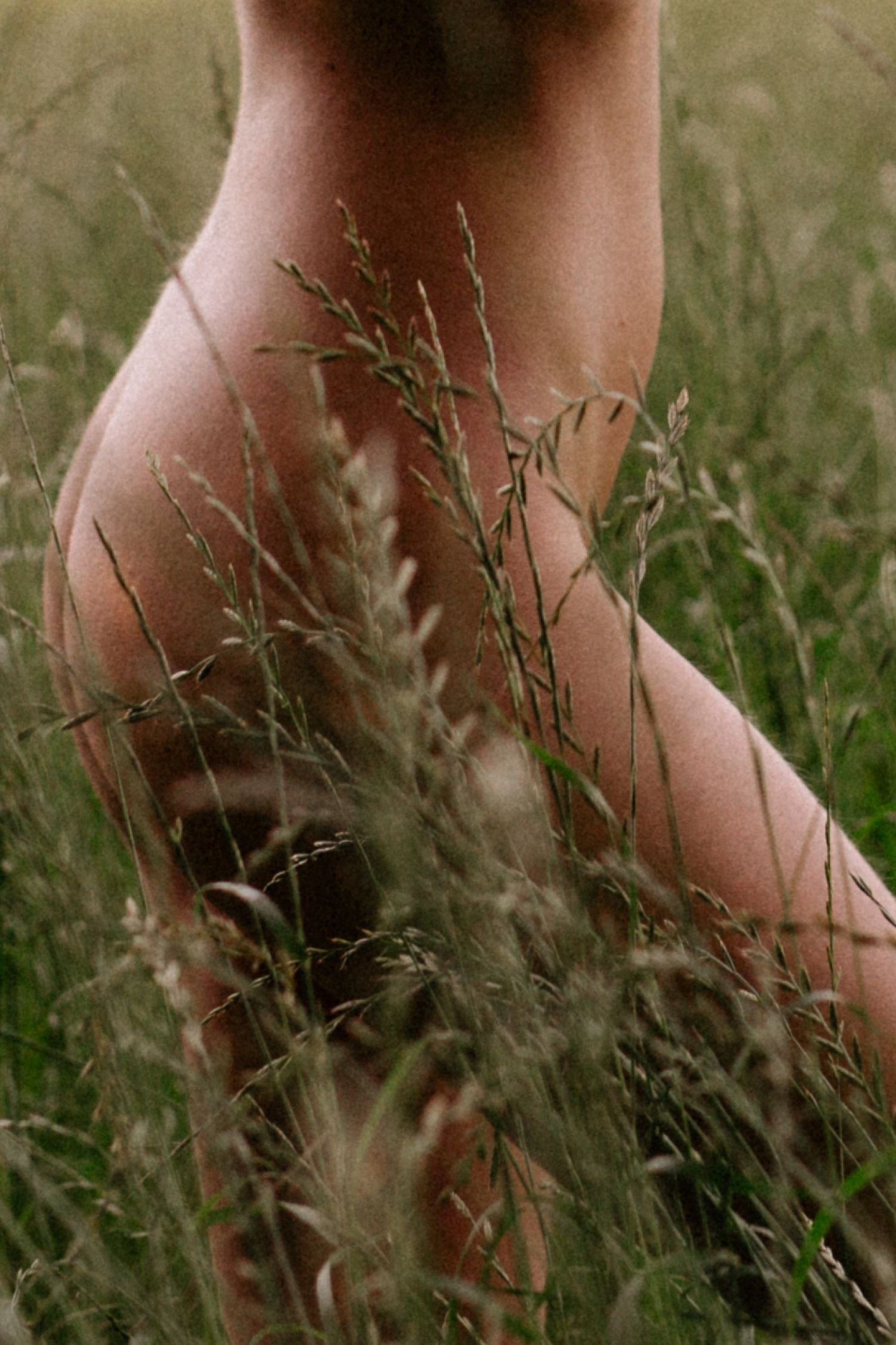 A person sitting nude in tall green grass, partially obscured by wild meadow plants in soft natural light.