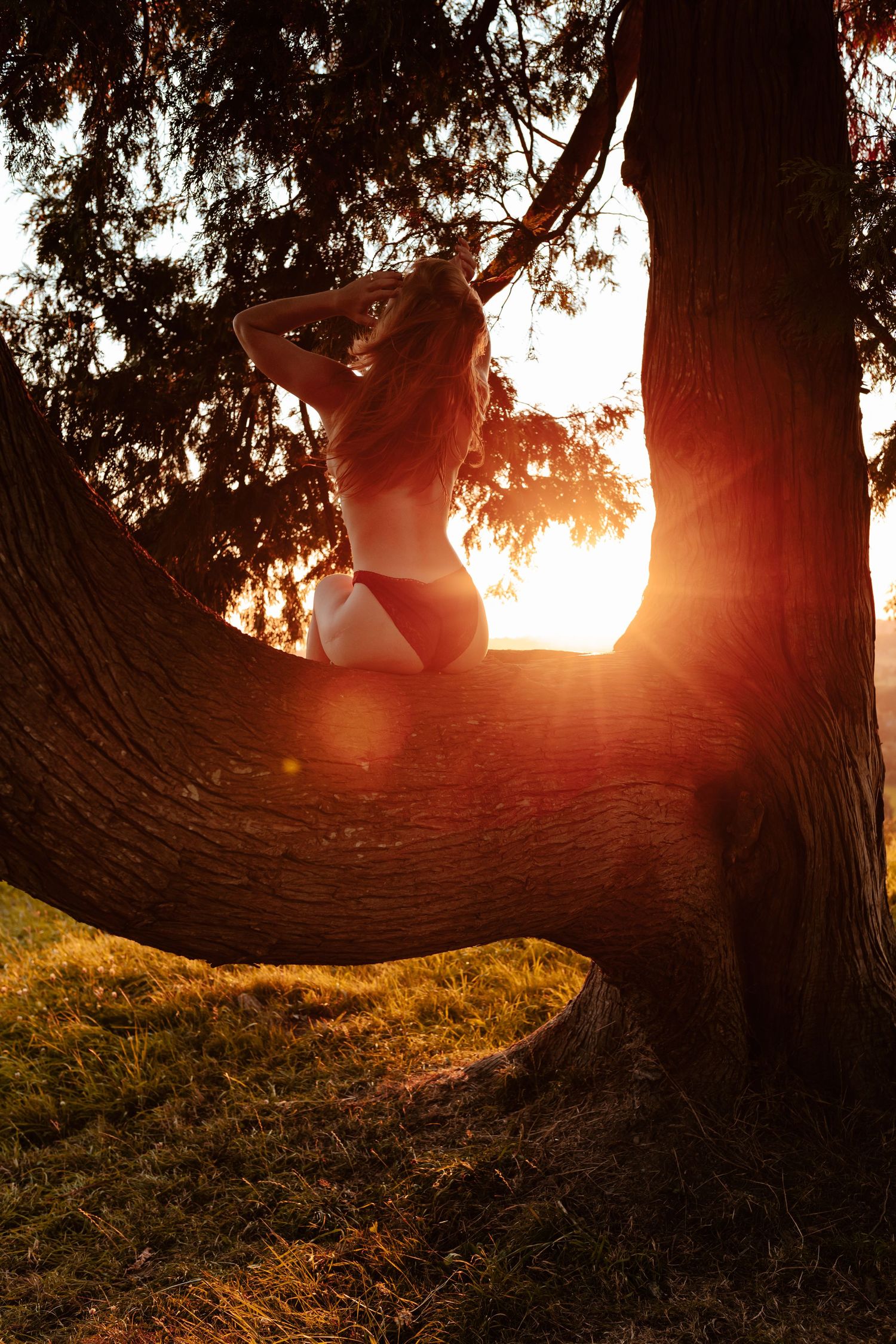 Woman in white swimsuit sits on curved tree trunk bathed in golden sunset light in a serene outdoor setting.