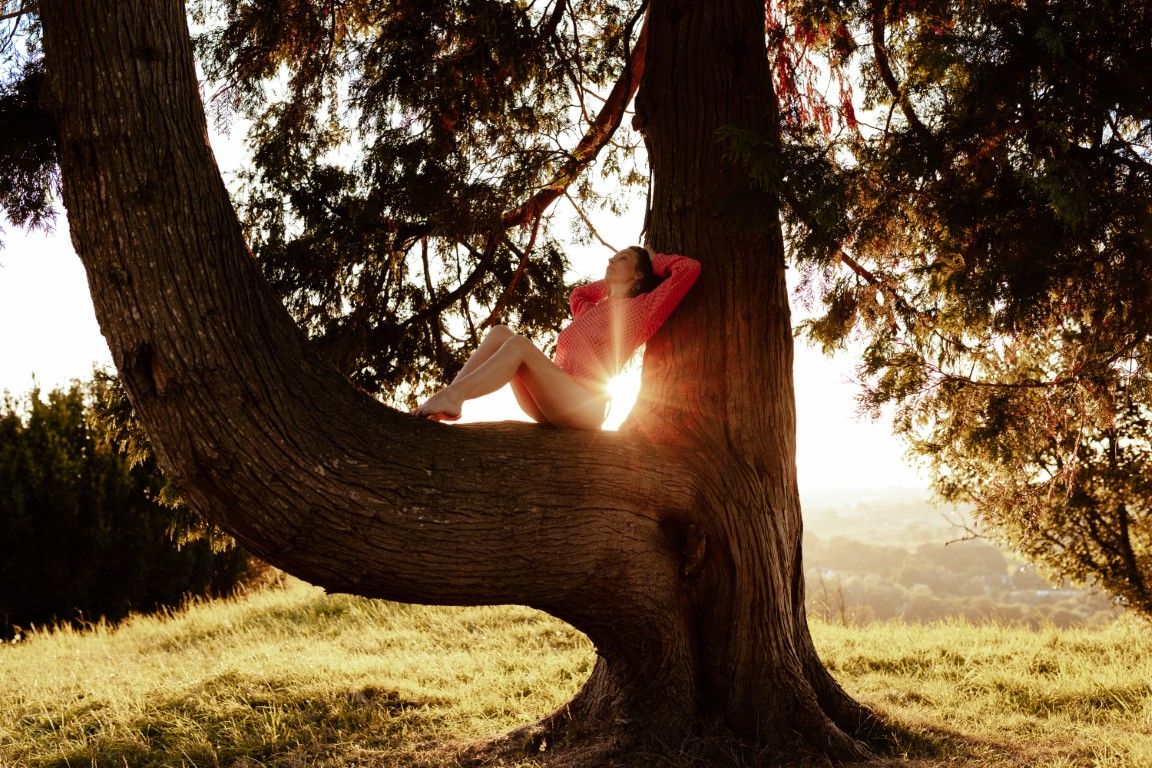 Person sitting in the fork of a large tree at golden hour with sunlight streaming through the branches.