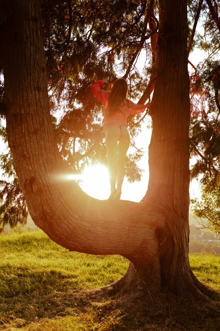 Child climbing a large tree trunk backlit by golden sunset light in a lush green park.