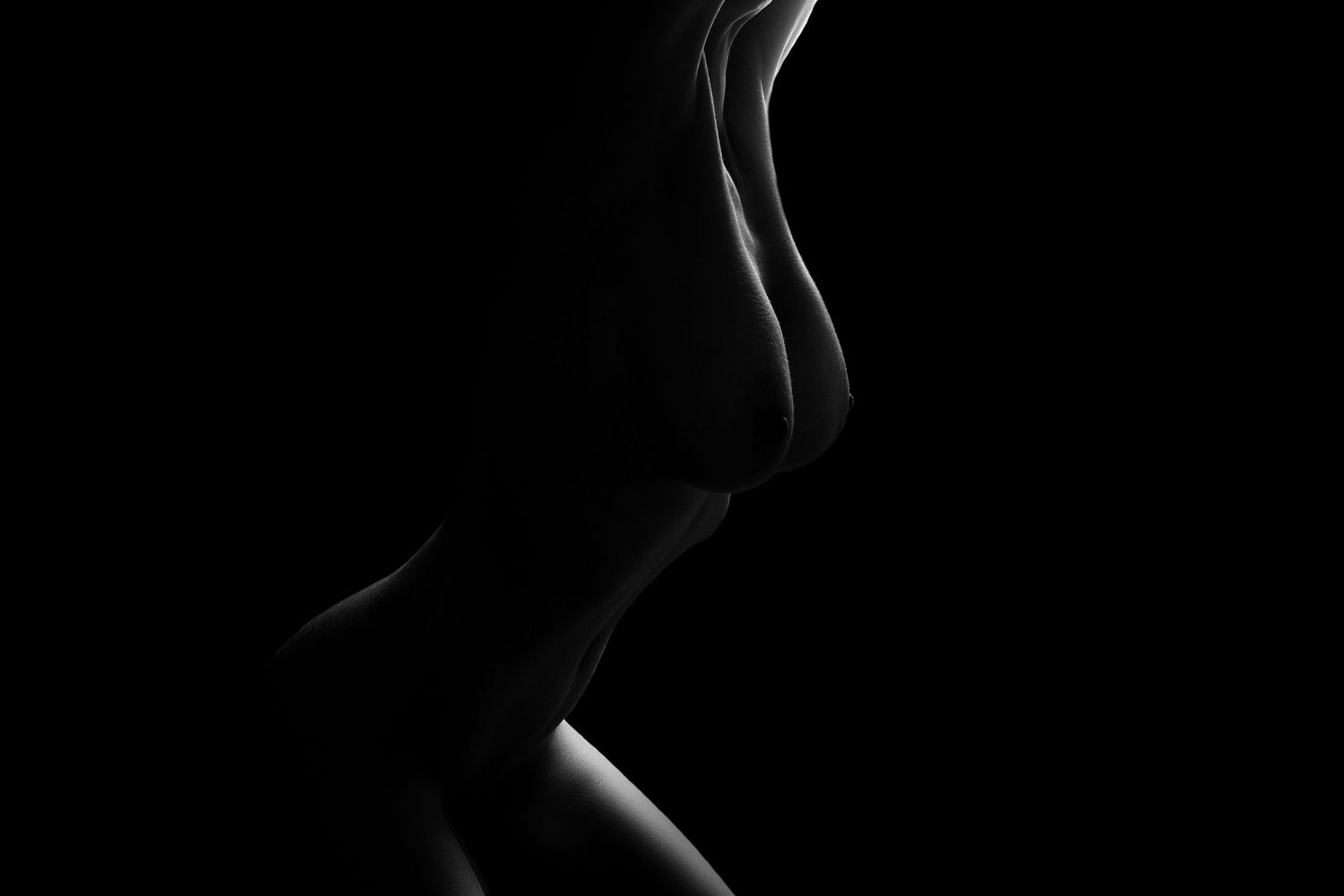 A dramatic black and white profile silhouette of a woman's face against a dark background with subtle rim lighting.