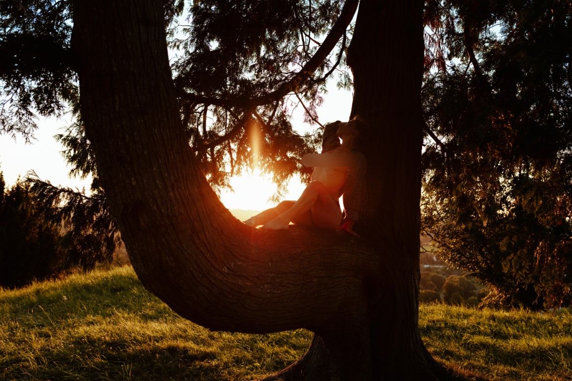 Silhouette d'une femme assise dans un arbre courbé, au coucher du soleil doré dans un parc.