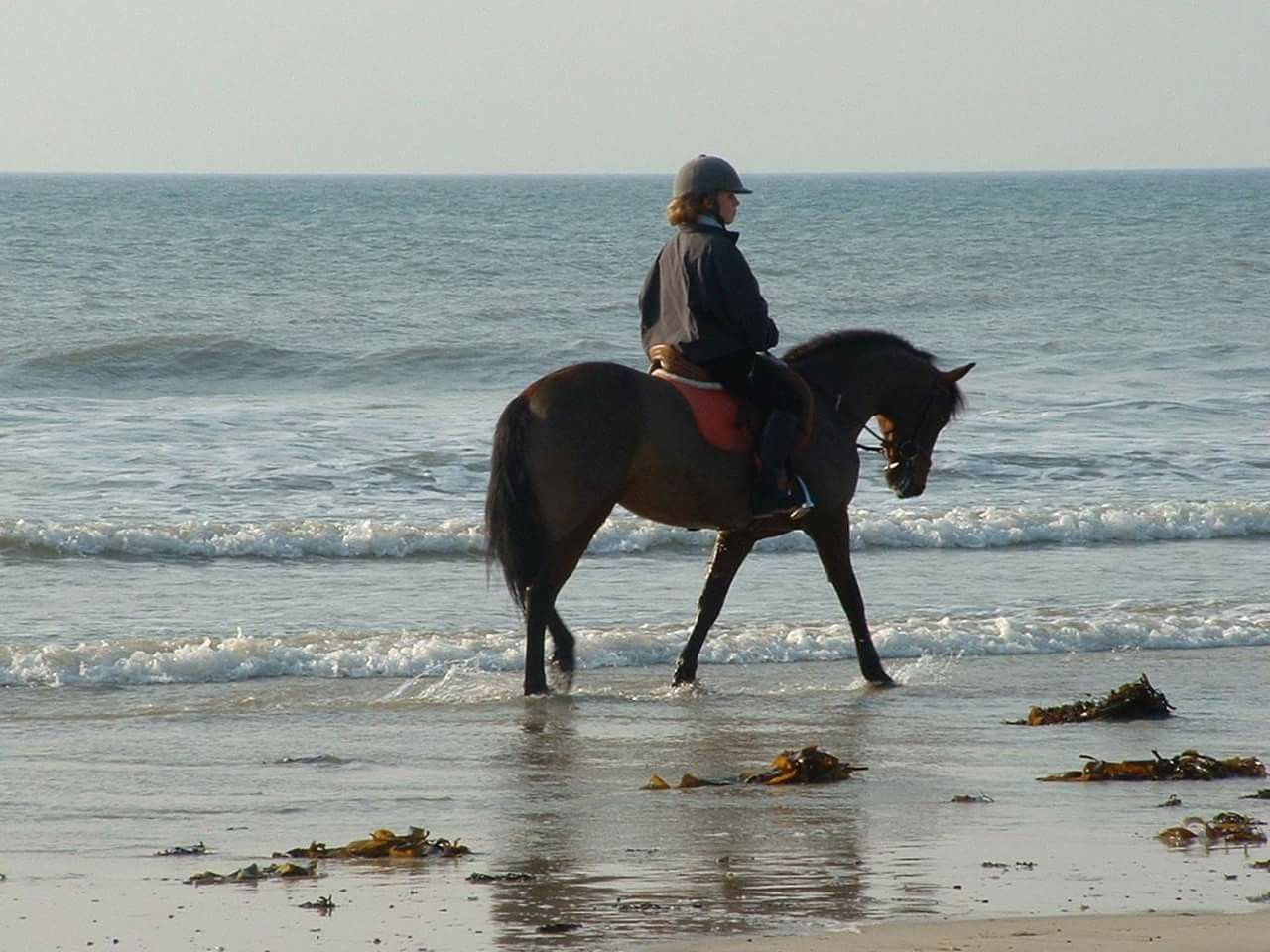 Silhouette d'un cheval et de son cavalier sur une plage de sable fin, avec les vagues de l'océan en arrière-plan au coucher du soleil.
