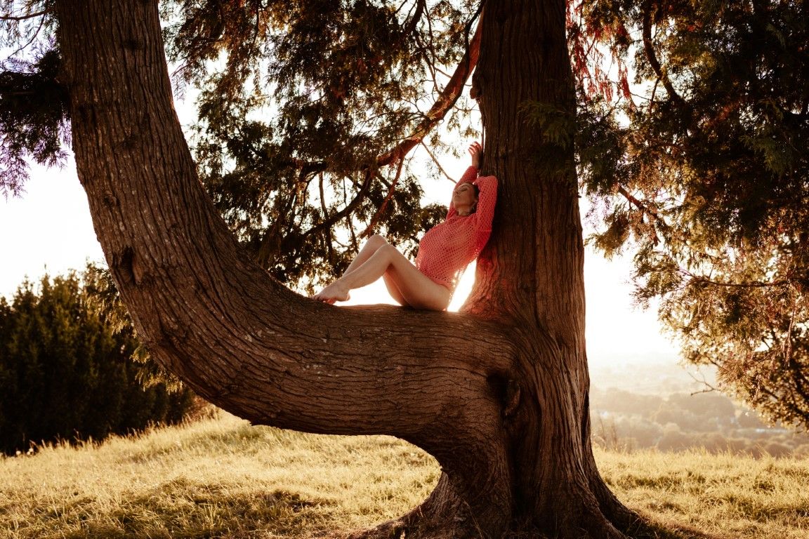 Person relaxing in the curved trunk of a large tree at sunset, wearing red shoes, surrounded by golden light.