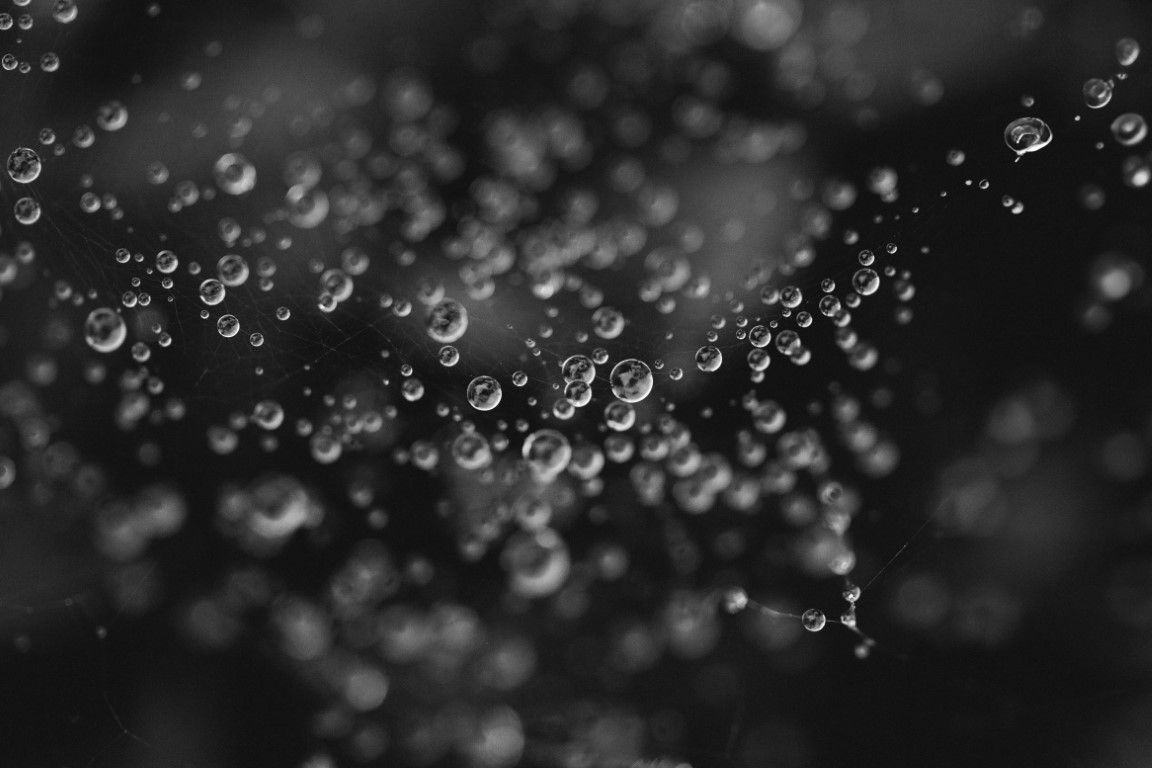 Photographie macro en noir et blanc de gouttelettes d'eau sur une toile d'araignée sur fond sombre.