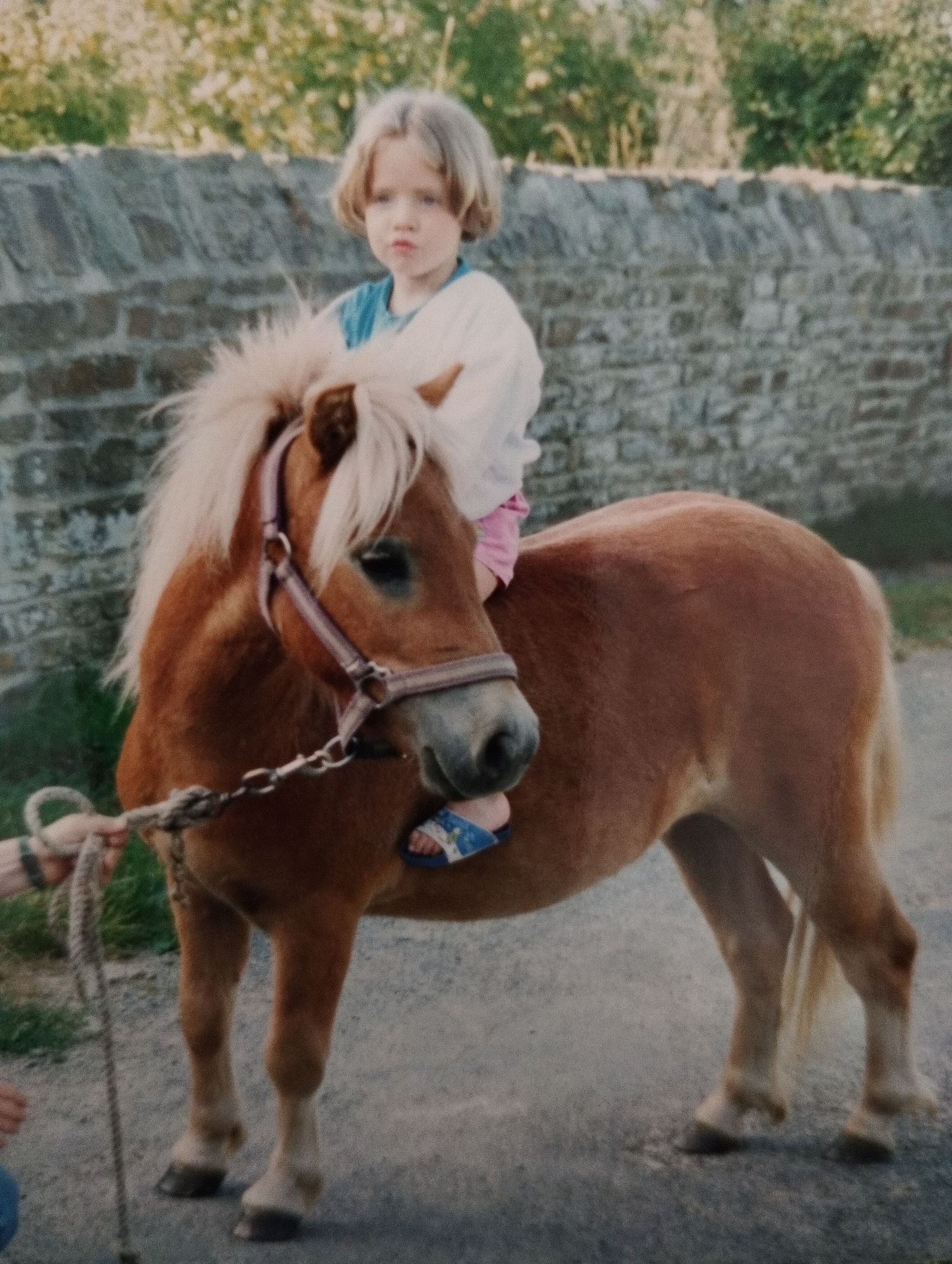 Jeune fille blonde chevauchant un poney Shetland brun le long d'un chemin longeant un muret de pierres.