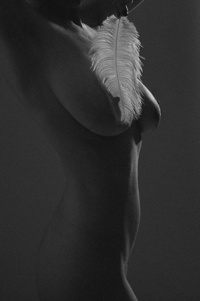 Silhouette artistique en noir et blanc d'un nu avec une plume blanche dans une photographie d'ombres dramatiques.