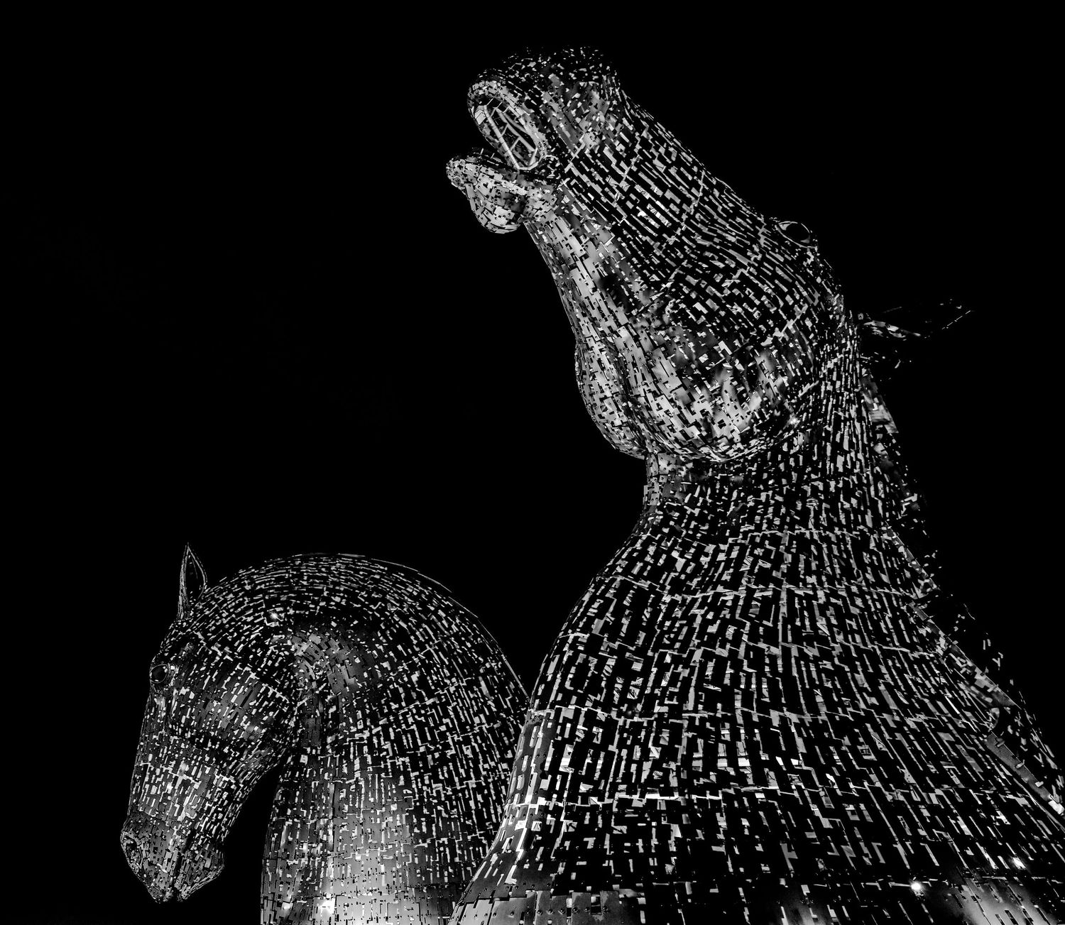 Kelpies at night in black + white