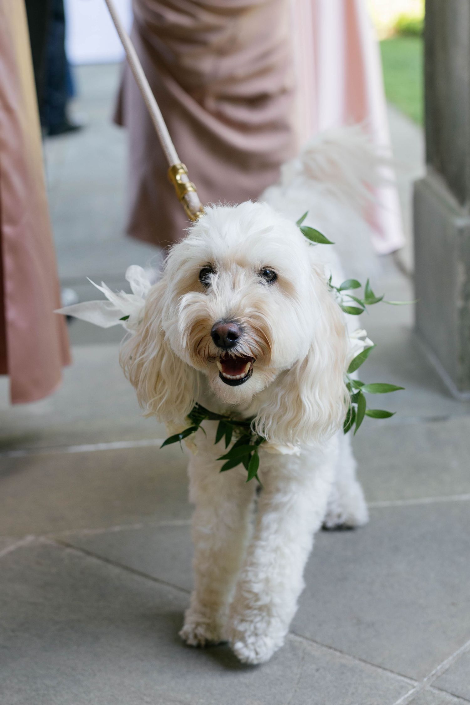 rhode island glen manor wedding photos, wedding photographer palm beach, lucury natural wedding photographer