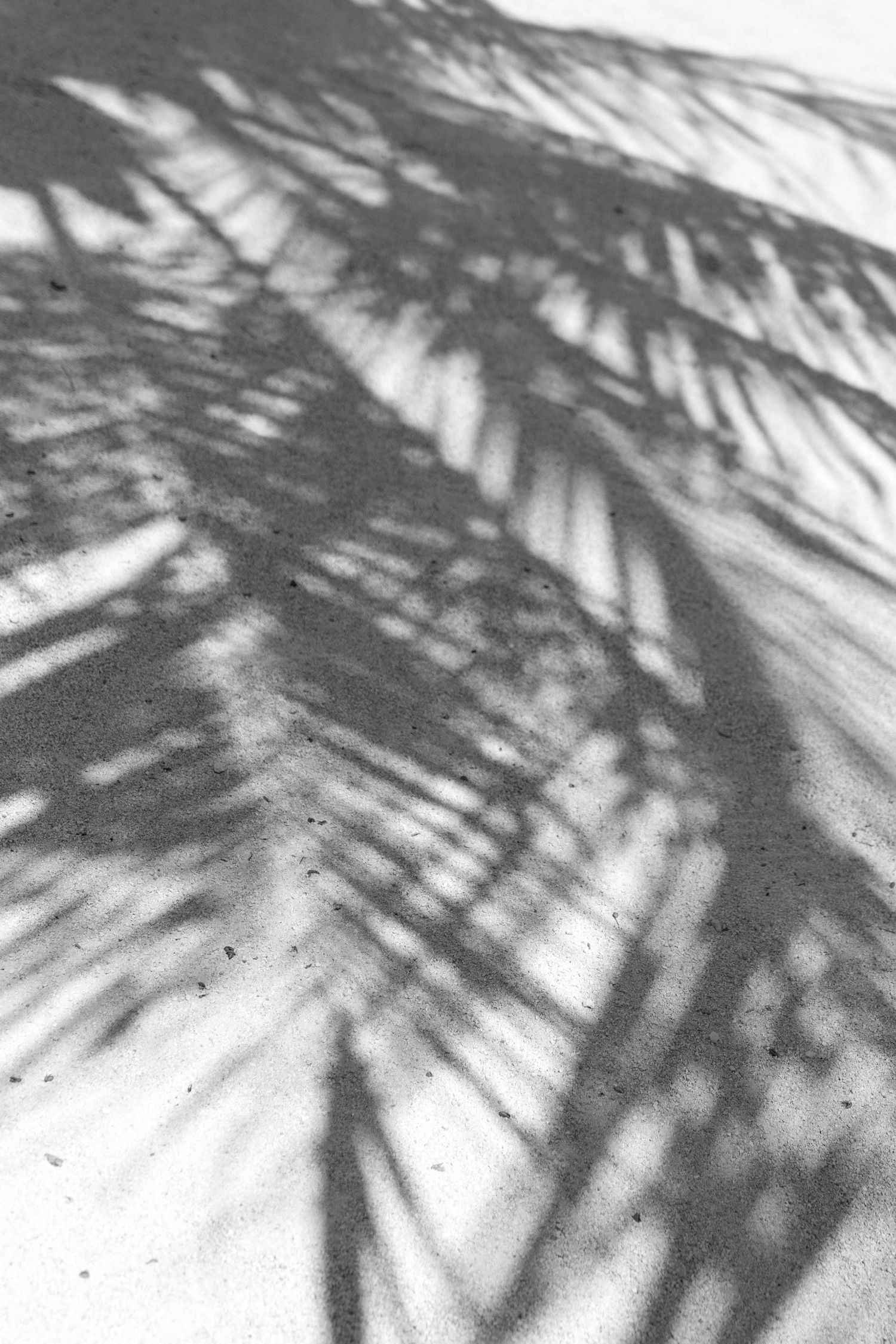Key Largo Lighthouse Wedding Photos, Wedding Photographer in the Florida Keys, Natural and true to color wedding photographer, Key Largo FL
