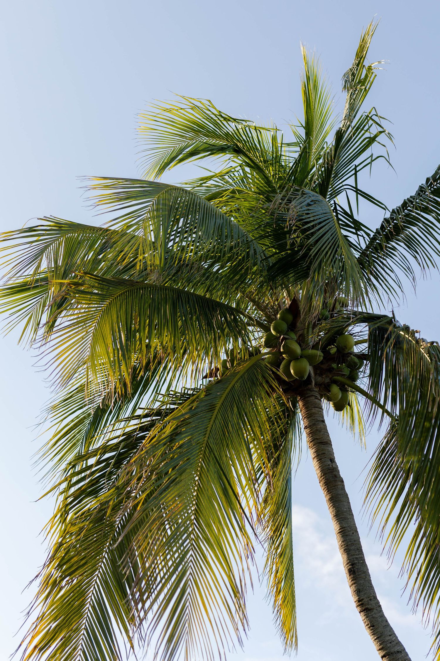Senior Photographer in Palm Beach, senior photos, jensen beach, stuart, palm beach, jupiter graduation photos, umiami grad photos