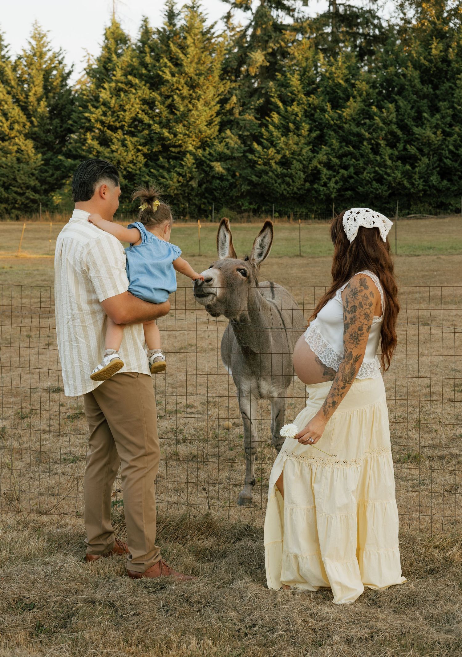 Family enjoying a candid moment with a donkey during an outdoor family photography session in Washington.