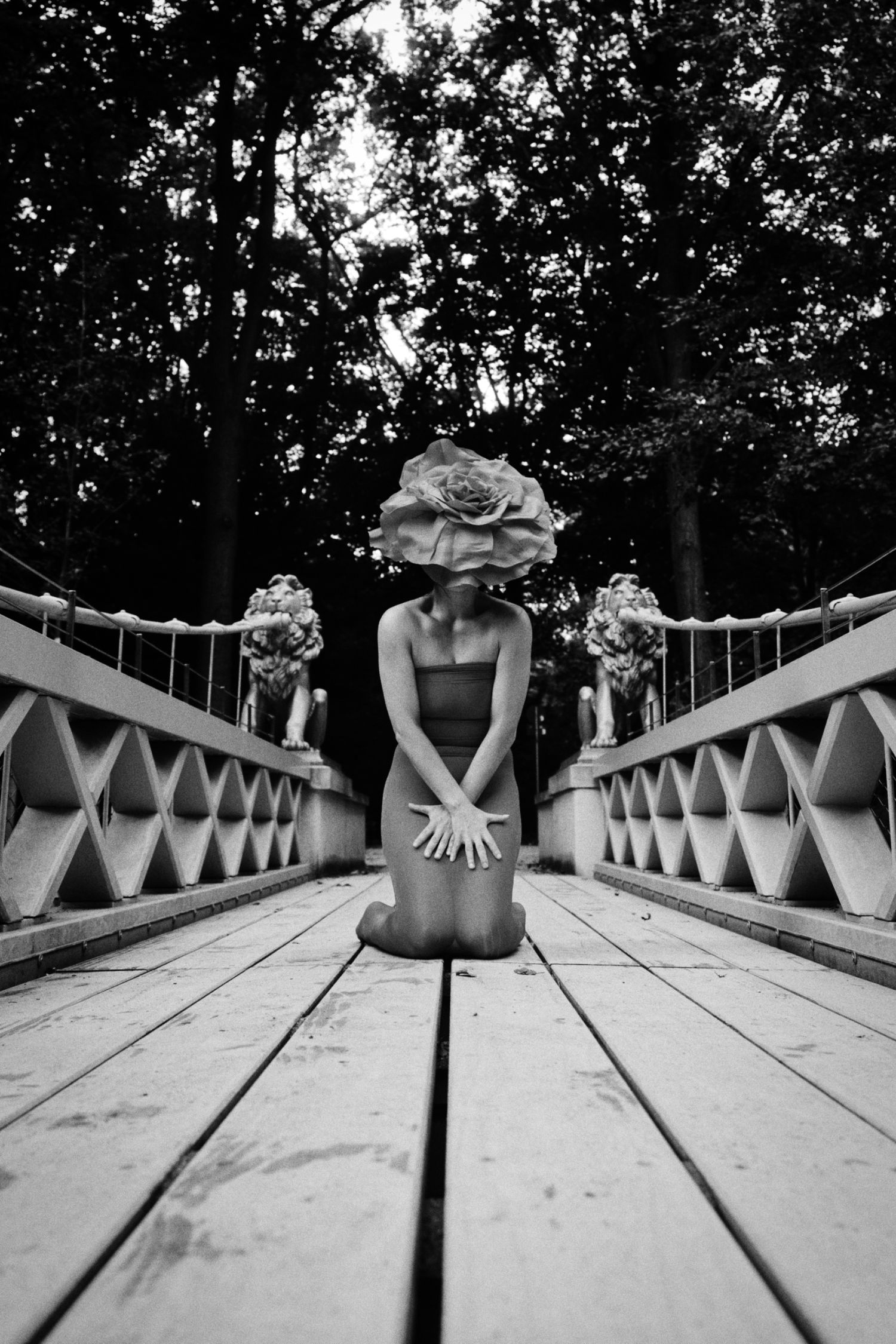 Black and white photo of a woman kneeling on a wooden bridge with a giant rose covering her head, surrounded by dark trees.