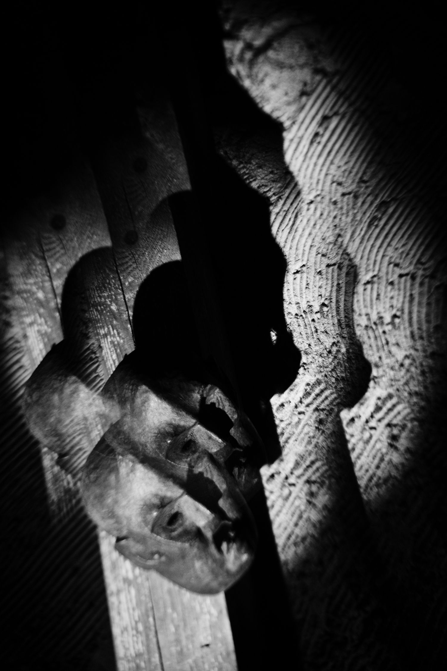 Dark black and white photo of weathered hands gripping wooden planks in dramatic shadow lighting.