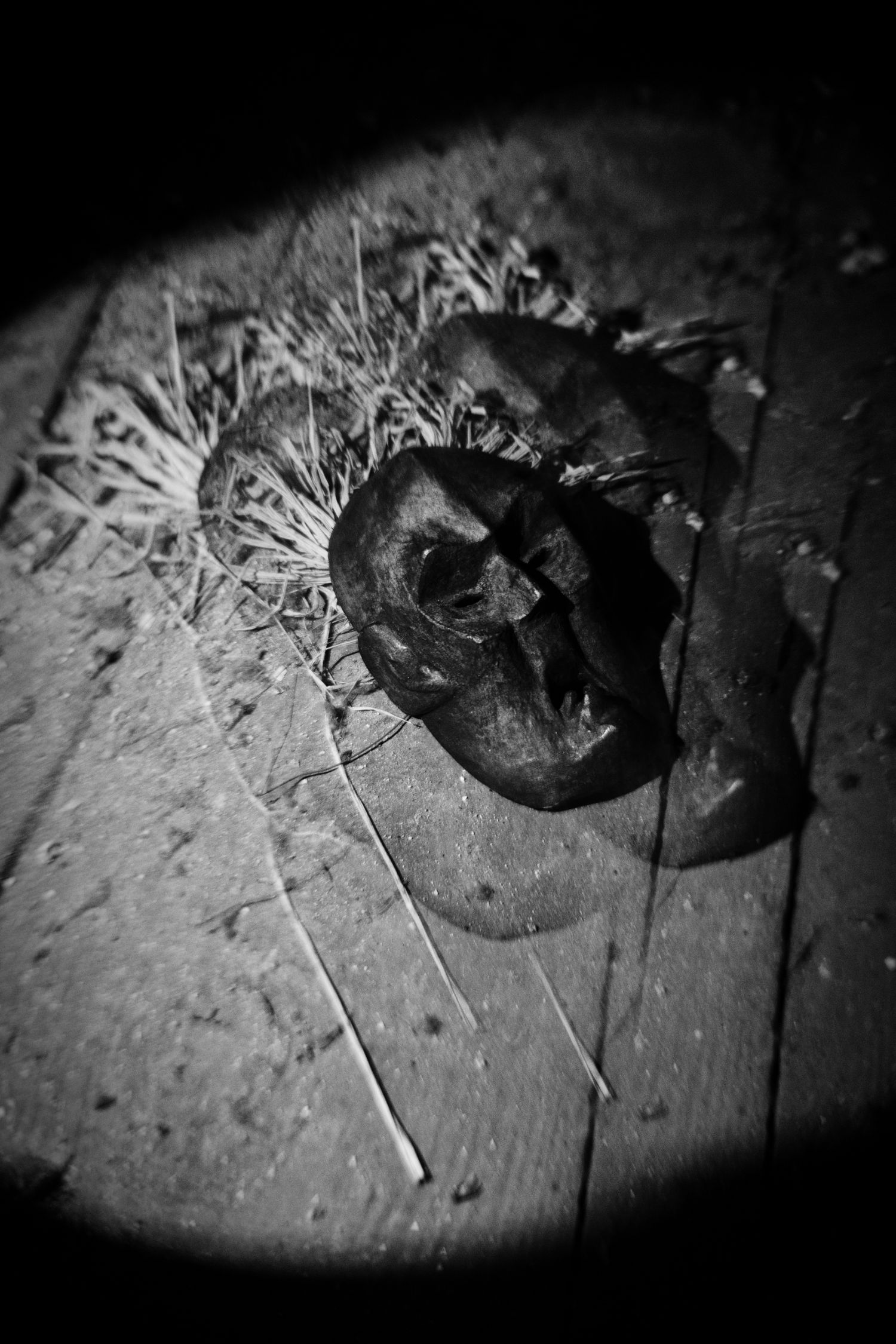 Black and white macro photo of a dried seed pod on weathered wooden surface with dramatic vignette effect.