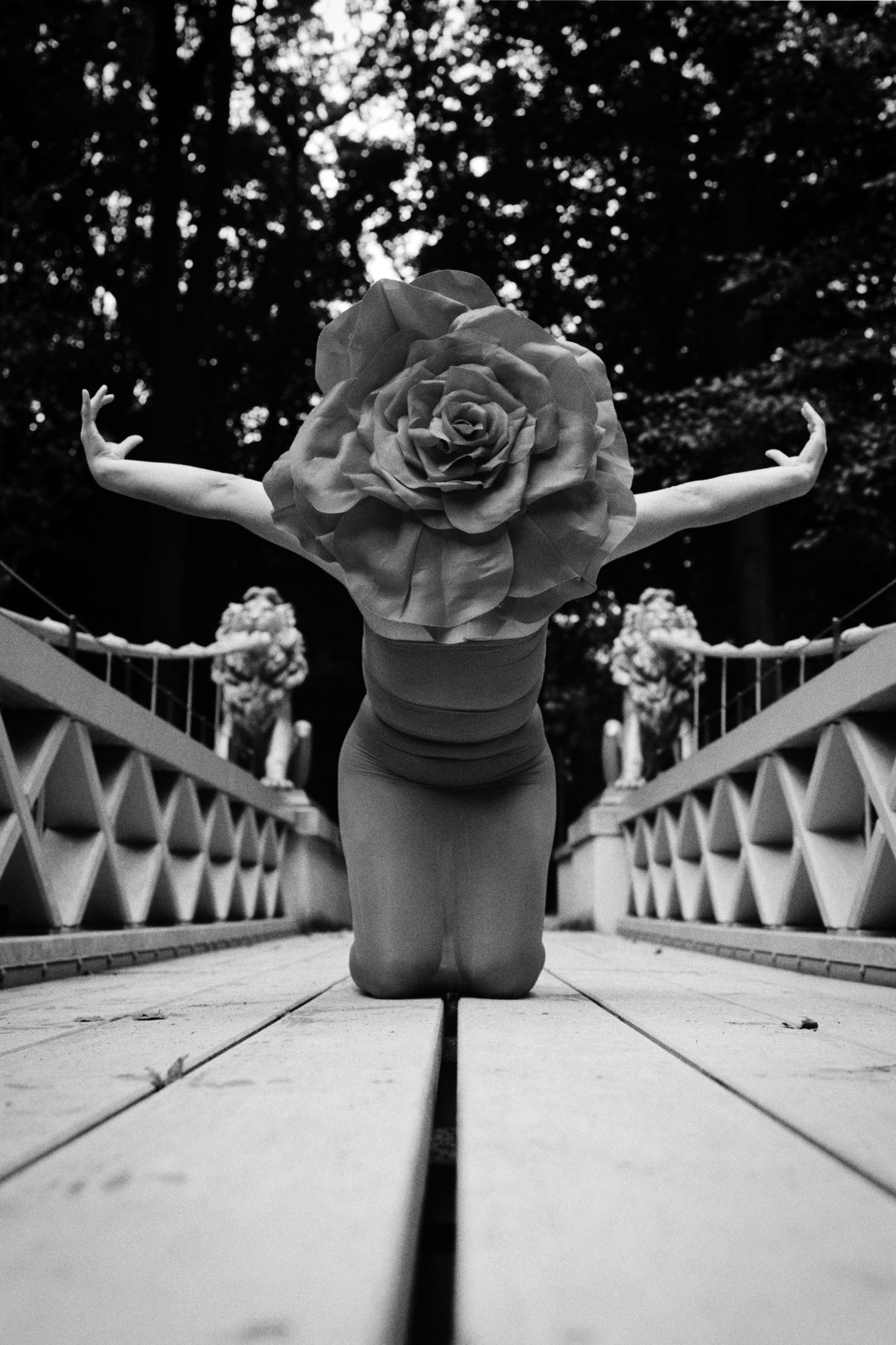 Black and white photo of a kneeling dancer with arms outstretched and a giant rose covering her head on a wooden bridge.
