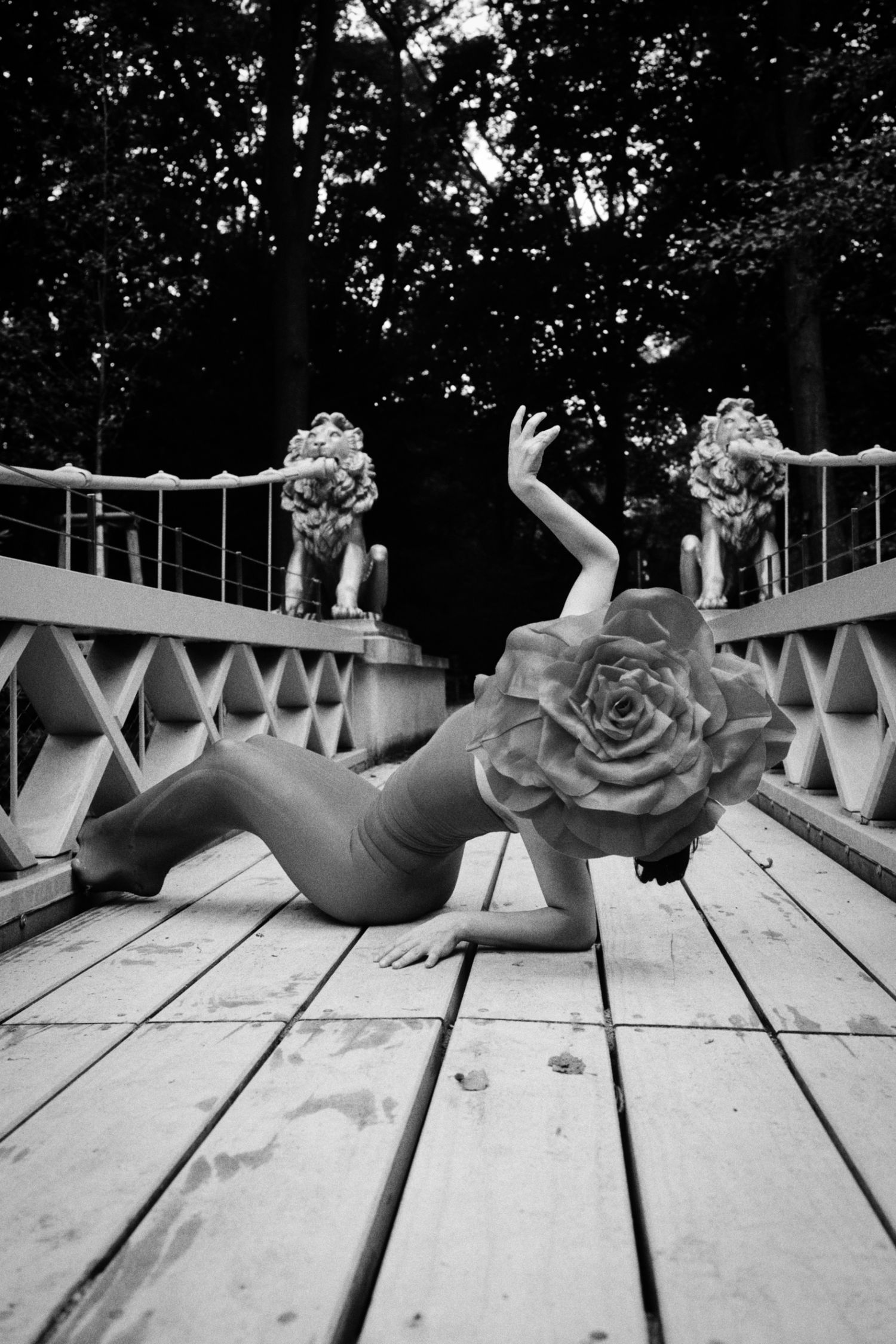Black and white photo of a person in a giant rose headpiece posing on a wooden bridge, with stone lion statues on the railings.