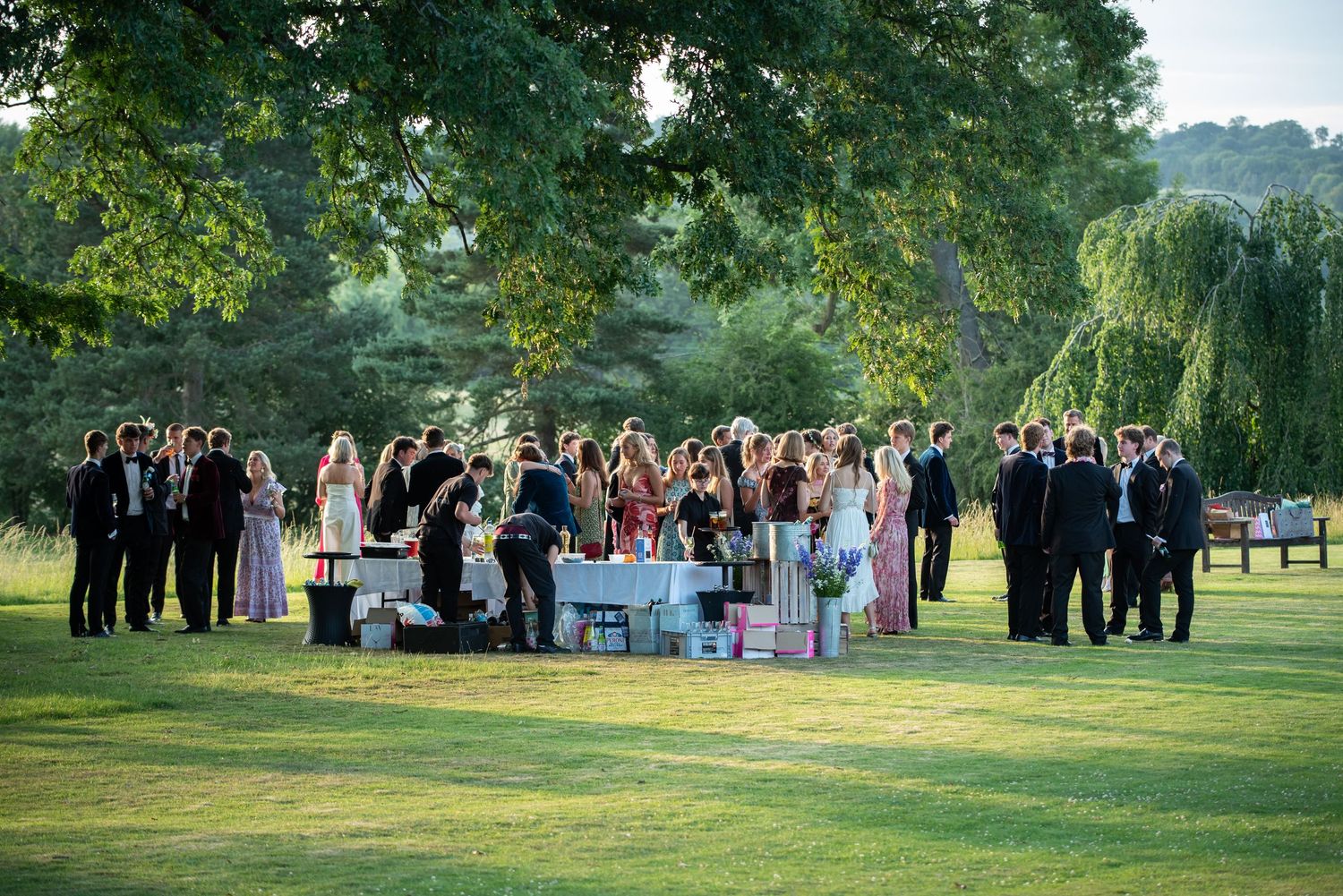 Wedding guests mingling under large oak tree on lush green lawn during summer evening celebration.