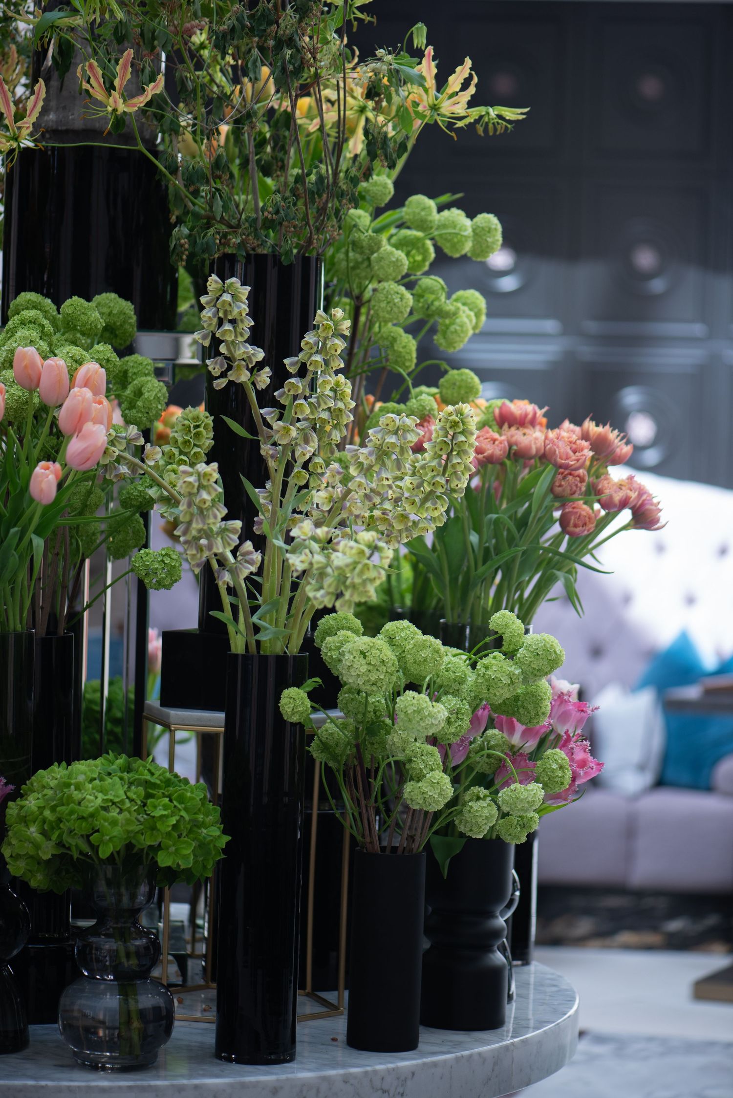 Elegant floral display featuring green viburnum, pink tulips, and white blooms in tall black vases indoors.  Fairmont Hotel, Windsor