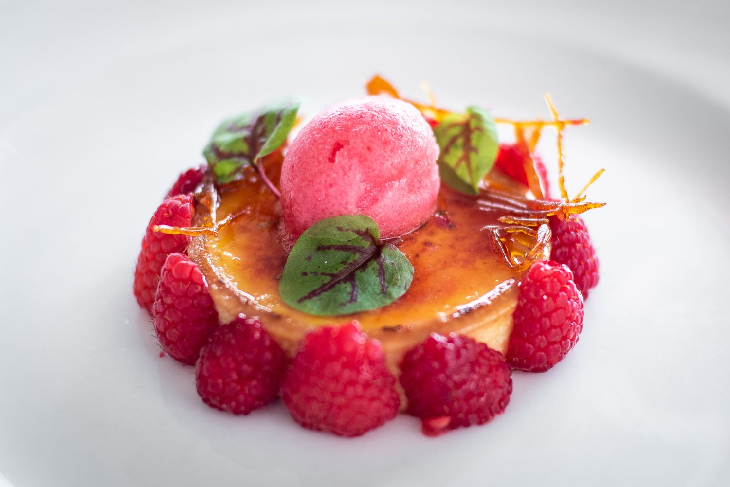 Elegant dessert plate with creme brulee topped with raspberry sorbet and fresh raspberries on white plate.  food photography