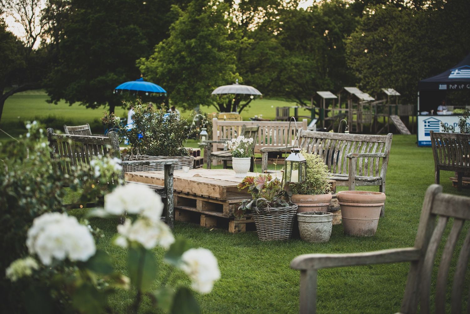 Elegant outdoor garden seating area with wooden benches, potted plants, and white hydrangeas.  event set up