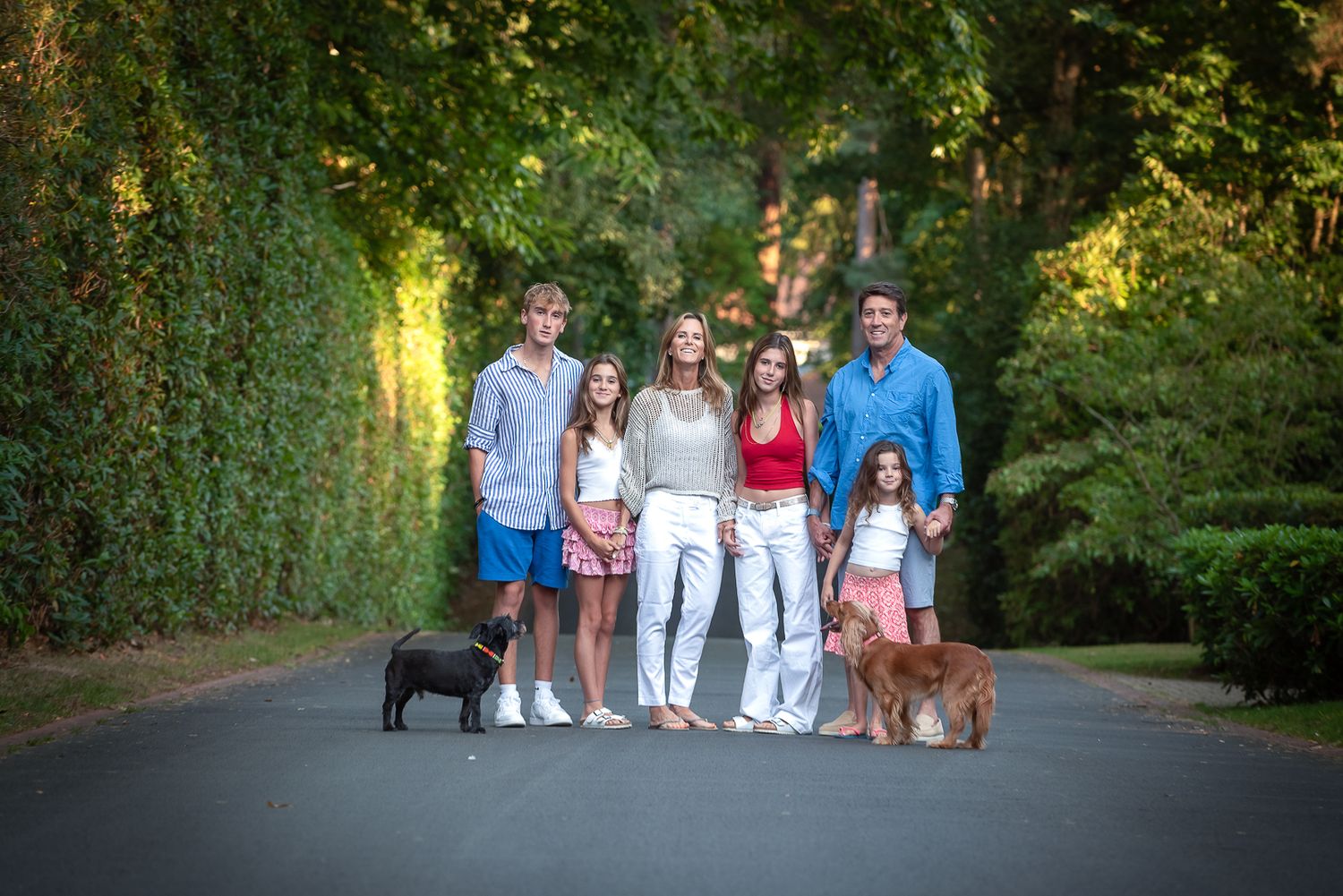 Family with two dogs posing on a tree-lined driveway in warm evening light. family portrait