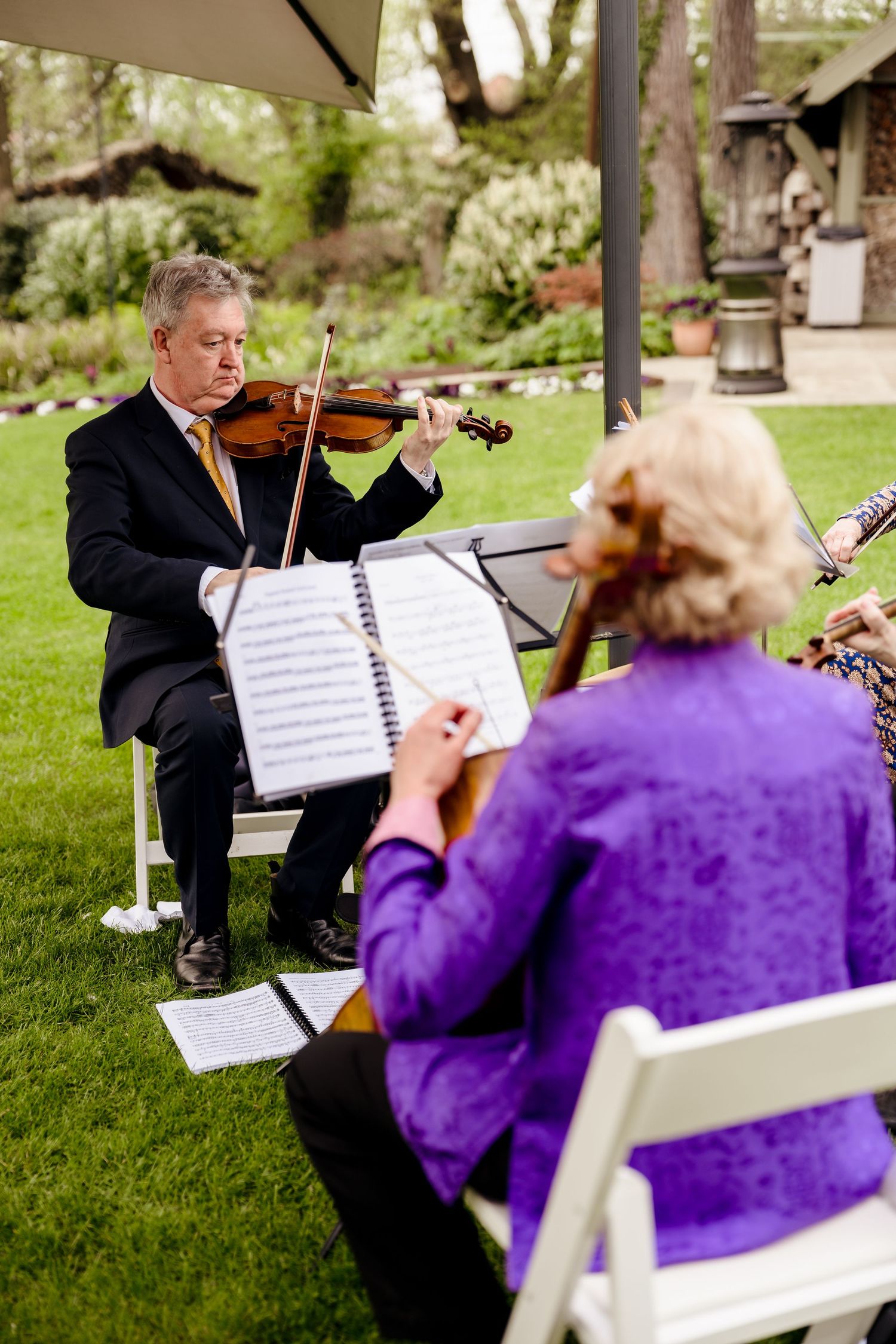 Outdoor wedding string quartet performing on green lawn, violinist in black suit reading sheet music.